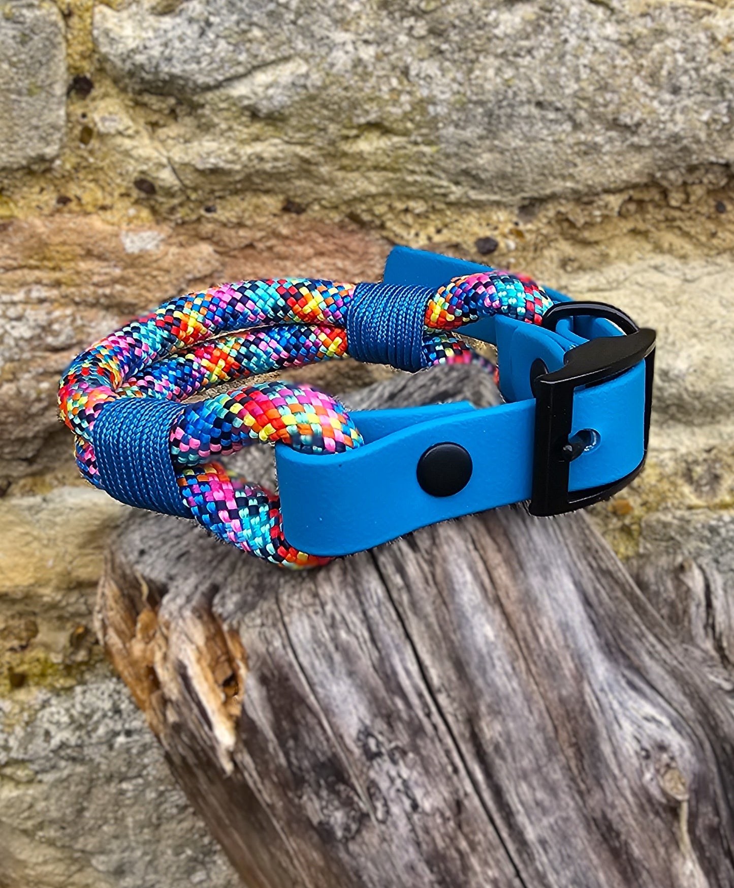 Confetti - Classic Rope Dog Collar