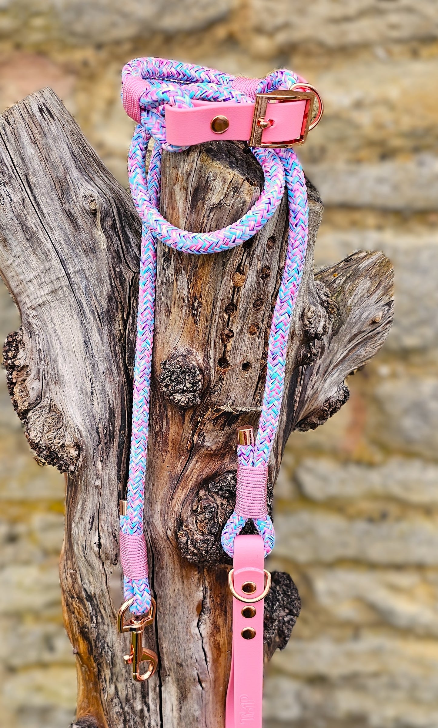 My Little Pony - Classic Rope Dog Lead