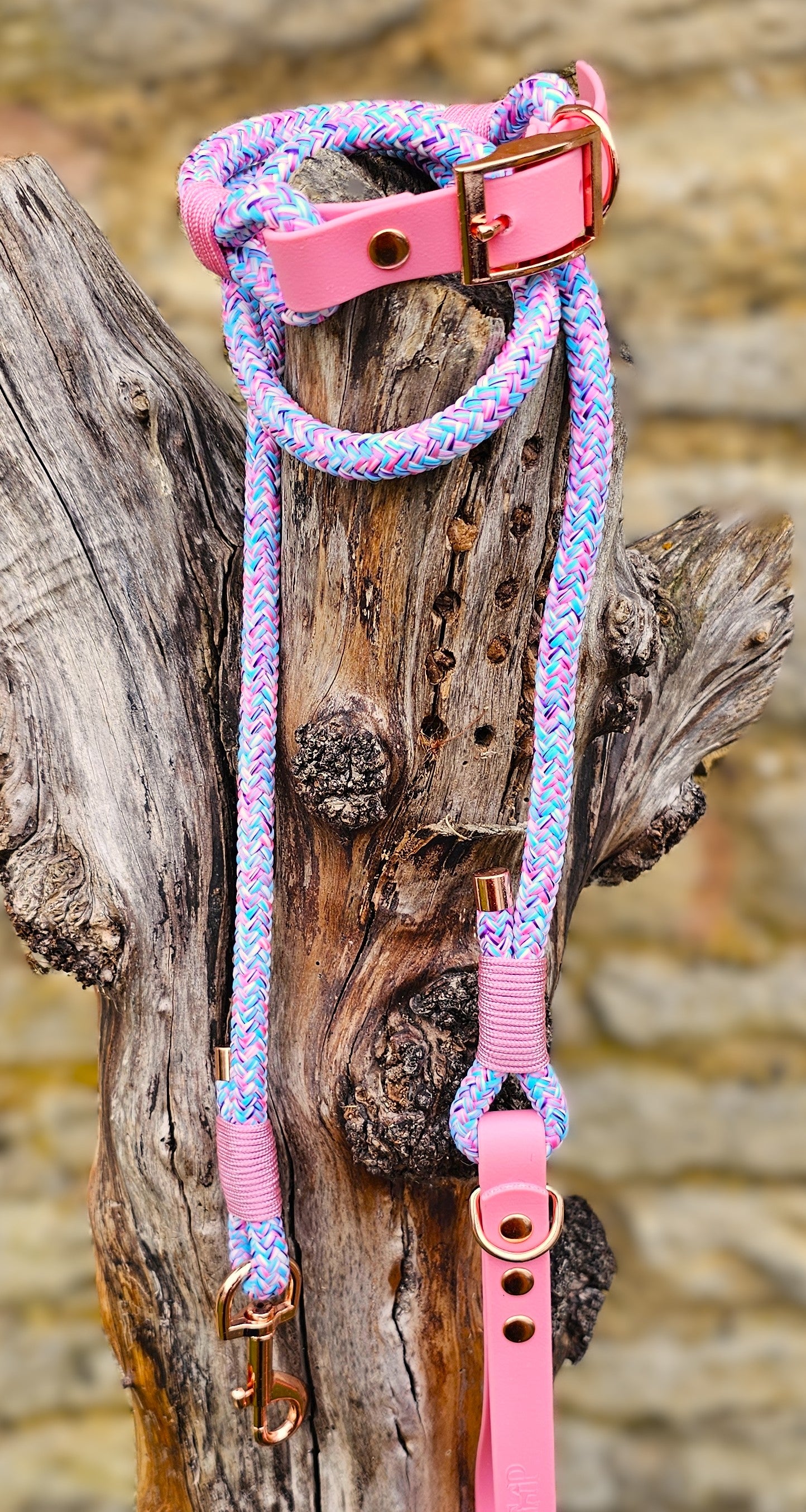 My Little Pony - Classic Rope Dog Collar