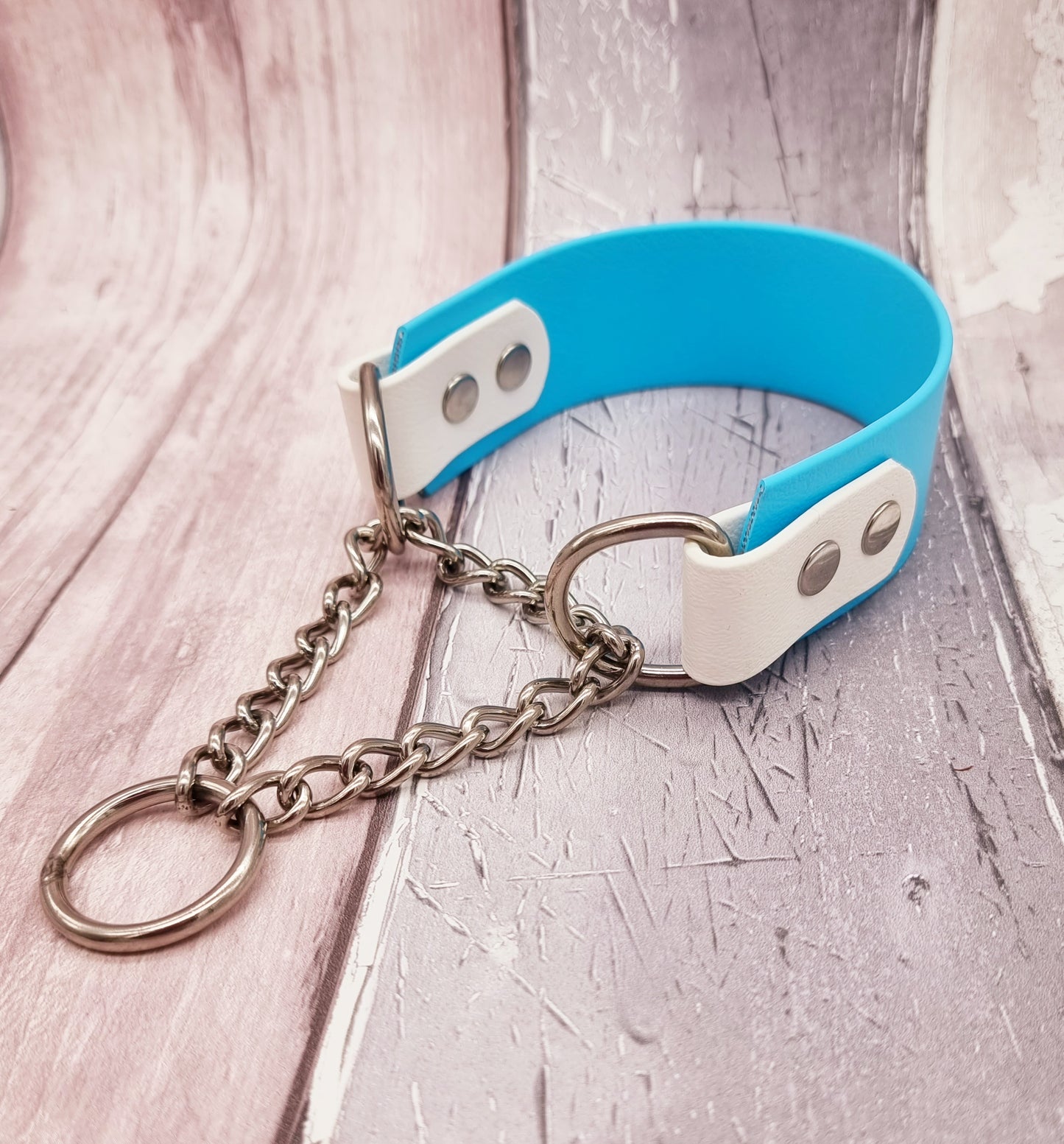 Waterproof BioThane© Dog Martingale Collar - Design Your Own