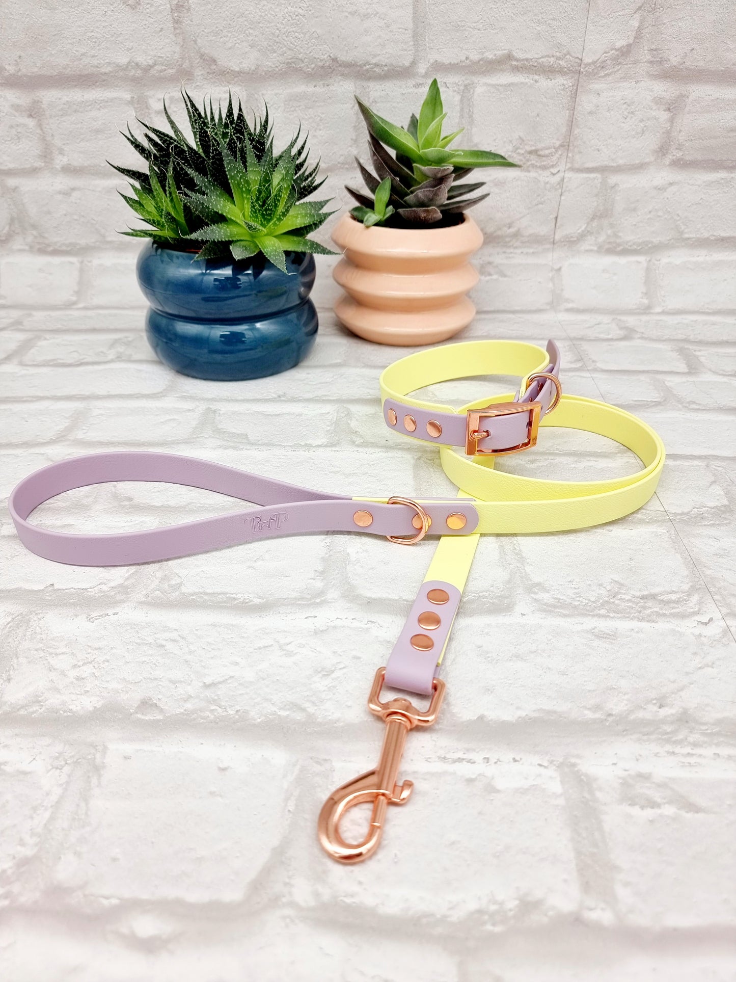 Lemon & Lilac - Waterproof BioThane© two-coloured Dog Collar
