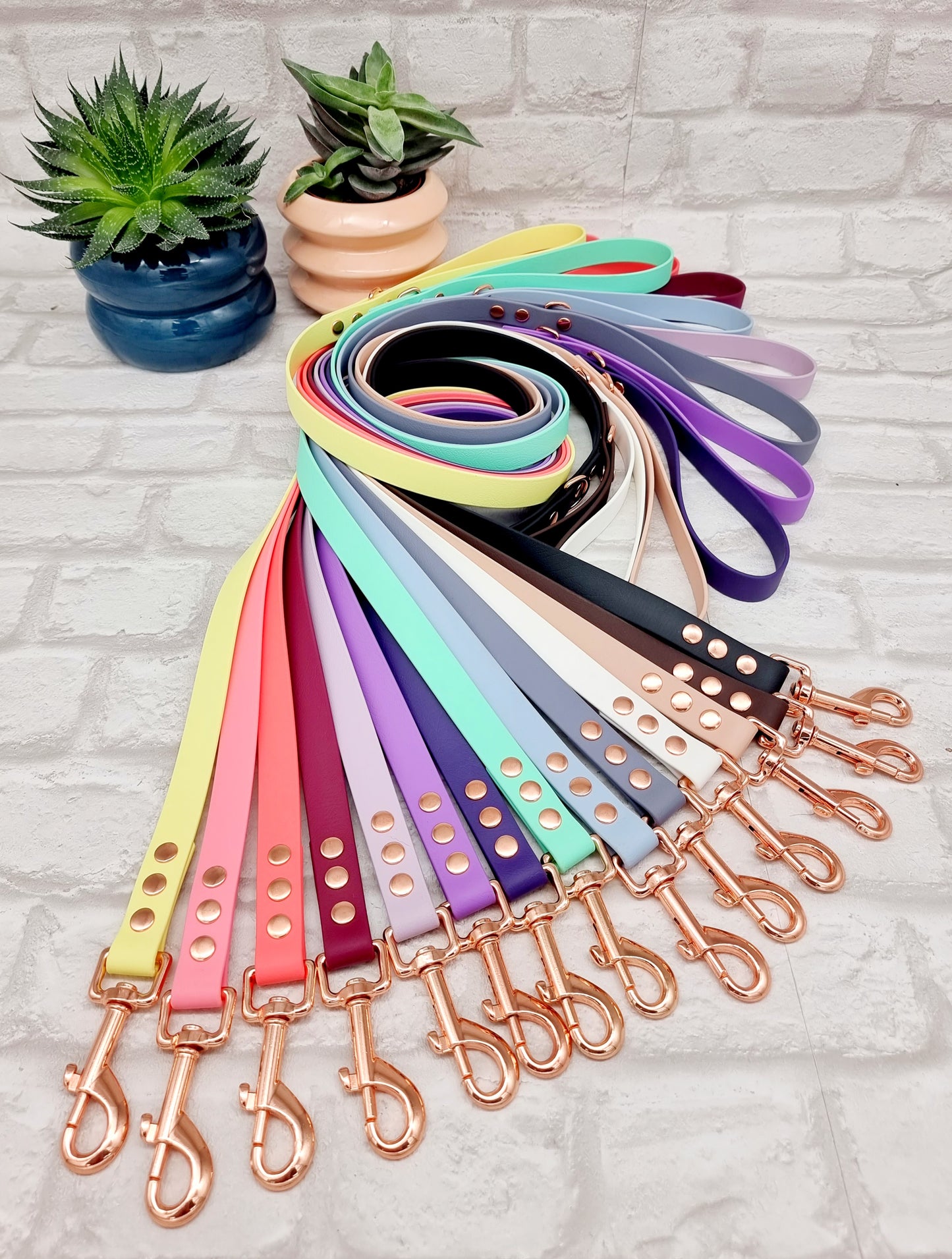 Waterproof BioThane© Dog Lead - Design Your Own