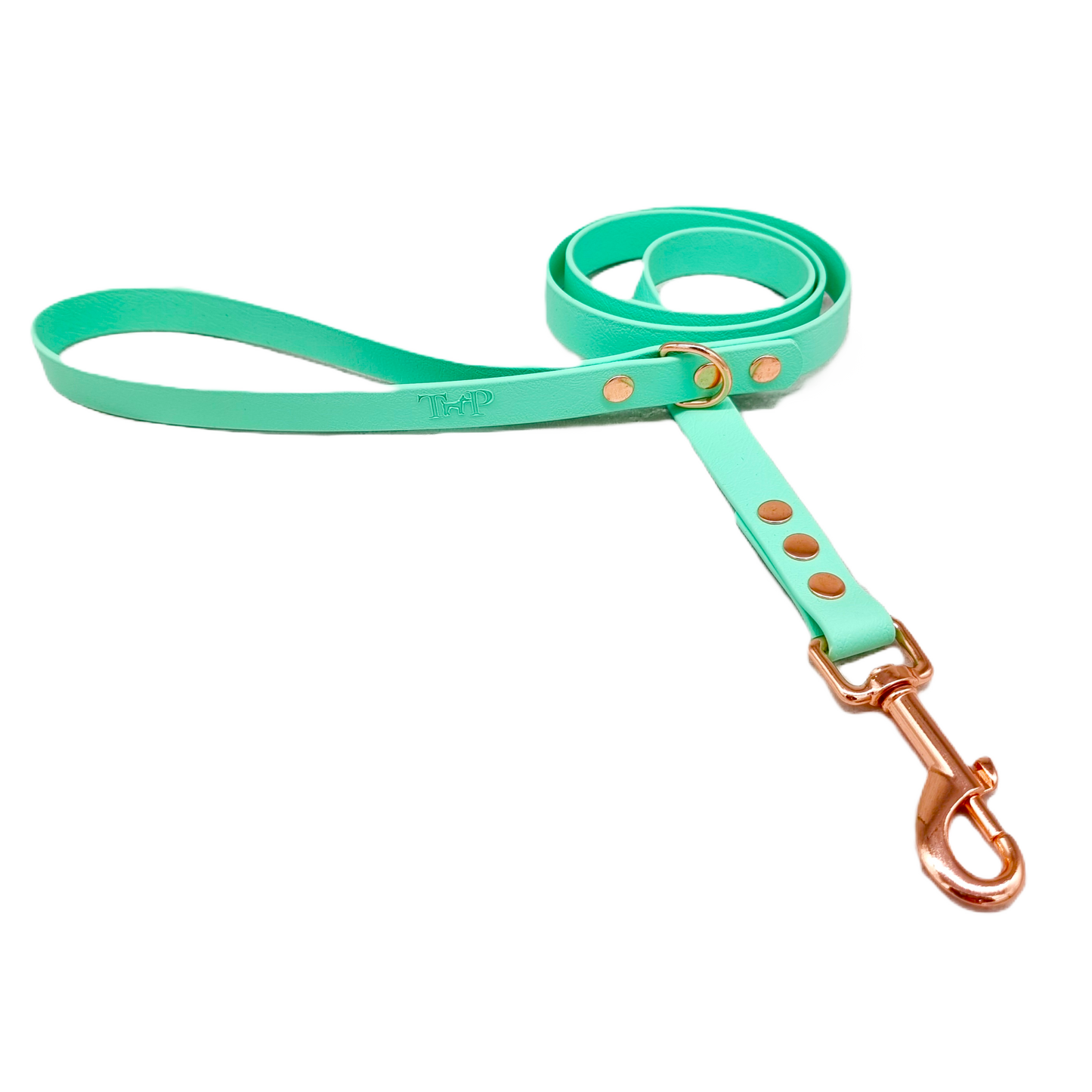 Mint - Waterproof BioThane© Dog Lead