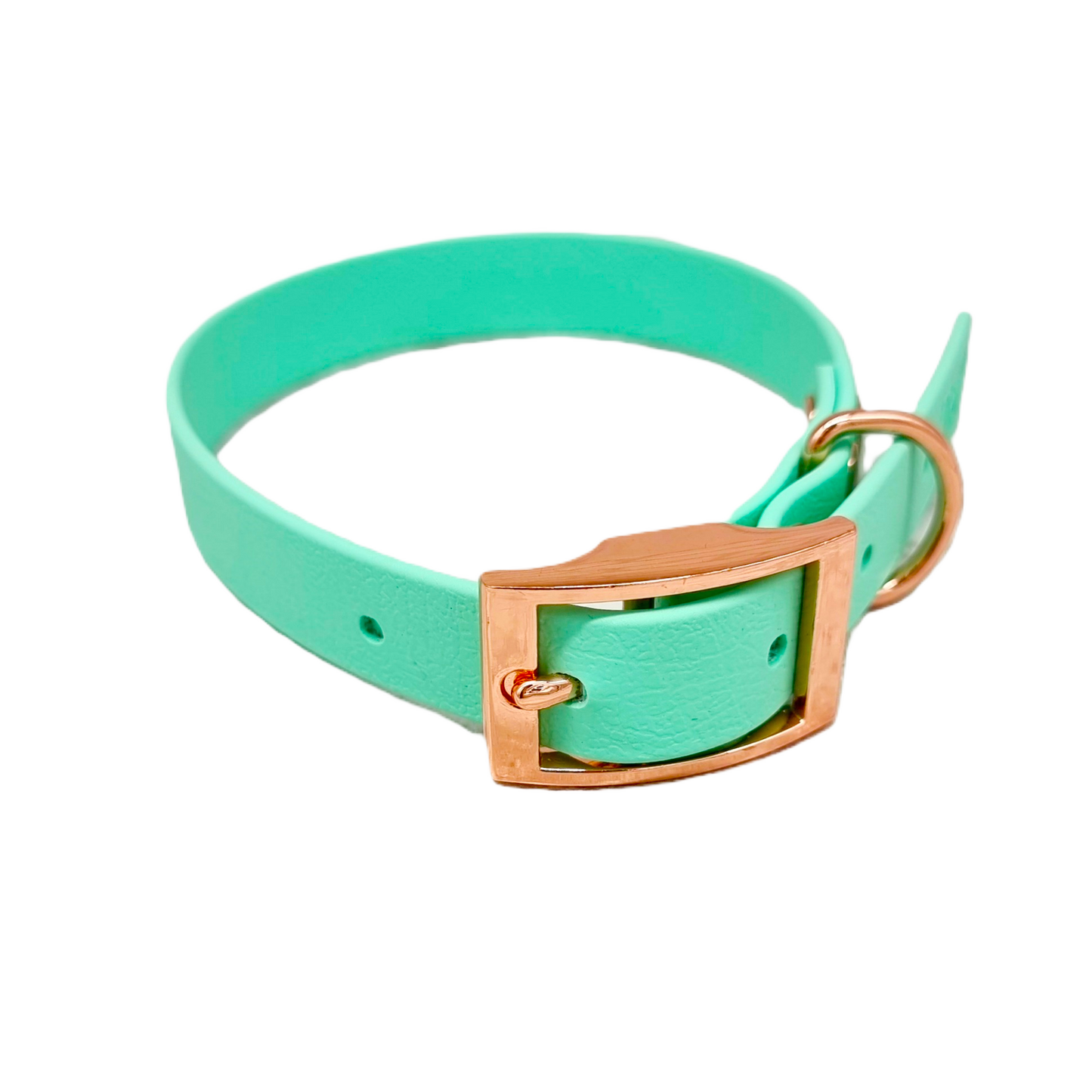 Mint - Waterproof BioThane© Dog Collar