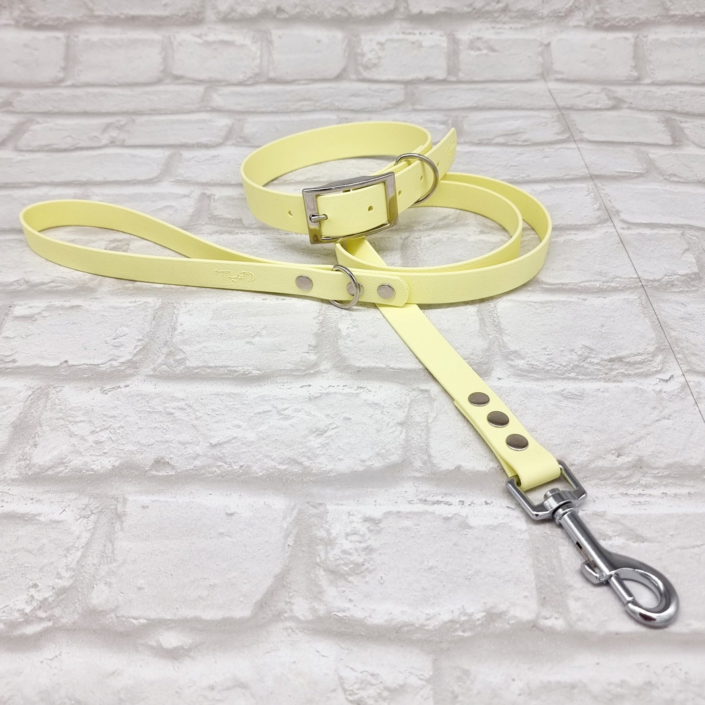 Lemon - Waterproof BioThane© Dog Lead