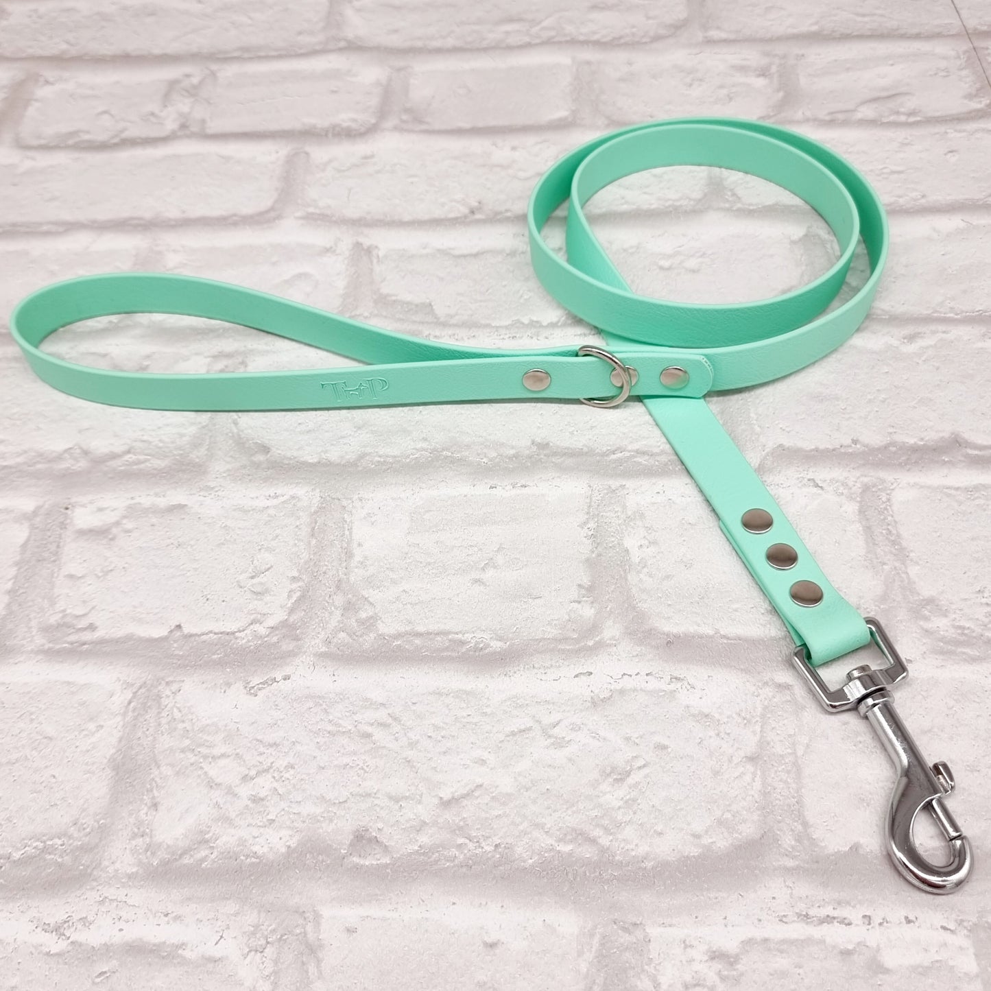 Mint - Waterproof BioThane© Dog Lead