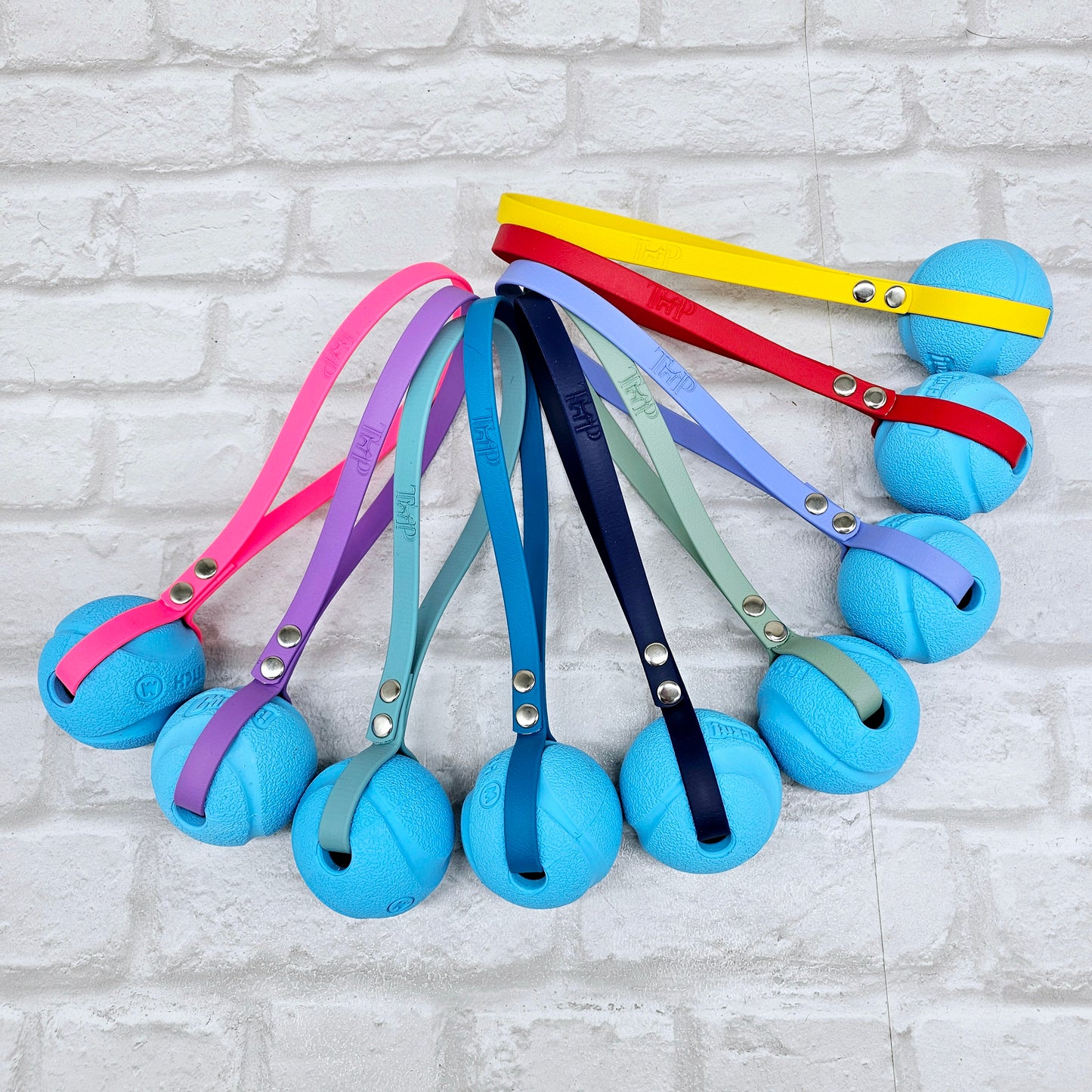 Chuck-It® Ball on Waterproof BioThane® Tug & Launcher Toy