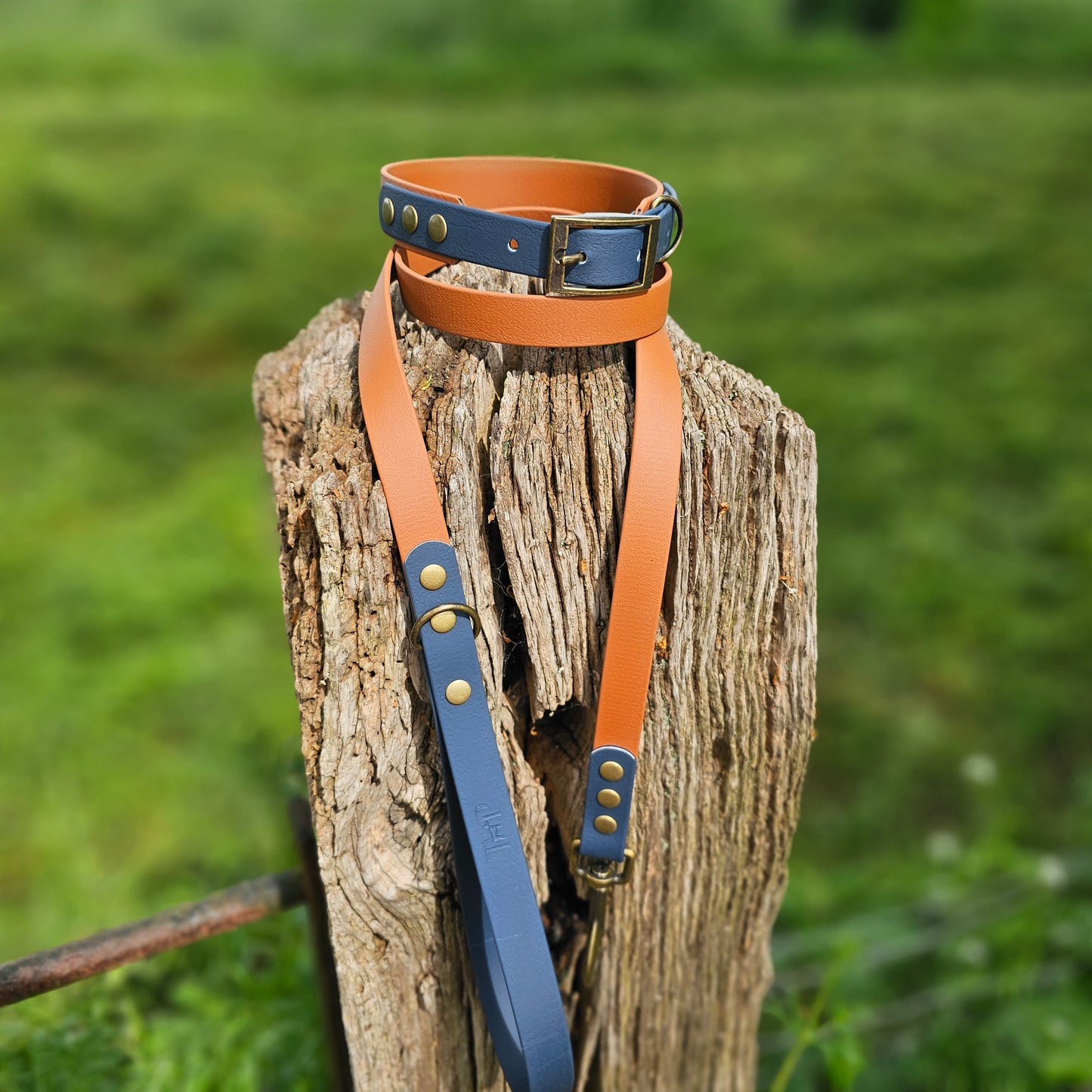 Tan & Navy - Waterproof BioThane© two-coloured Dog Collar
