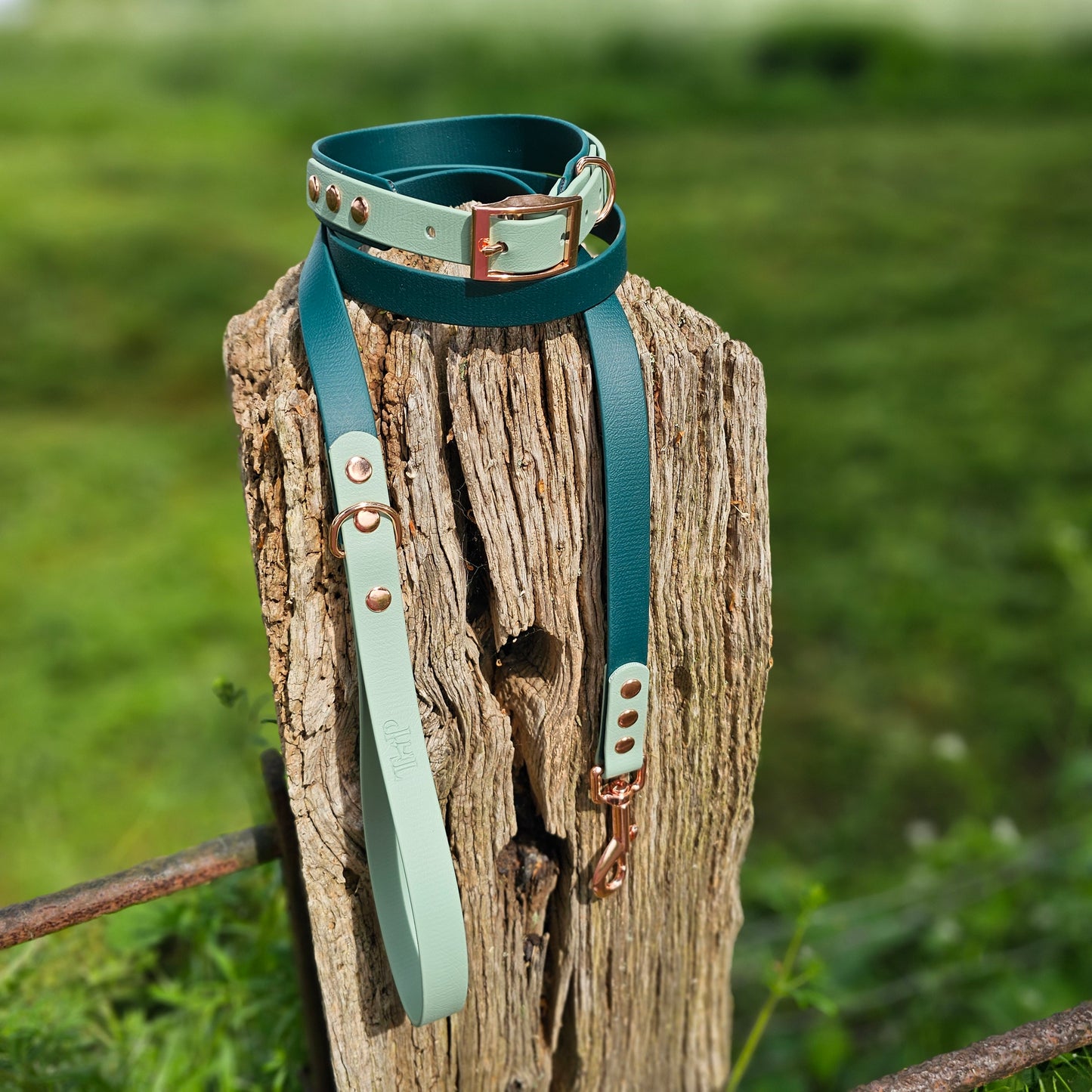 Dark Green & Sage - Waterproof BioThane© Dog Lead