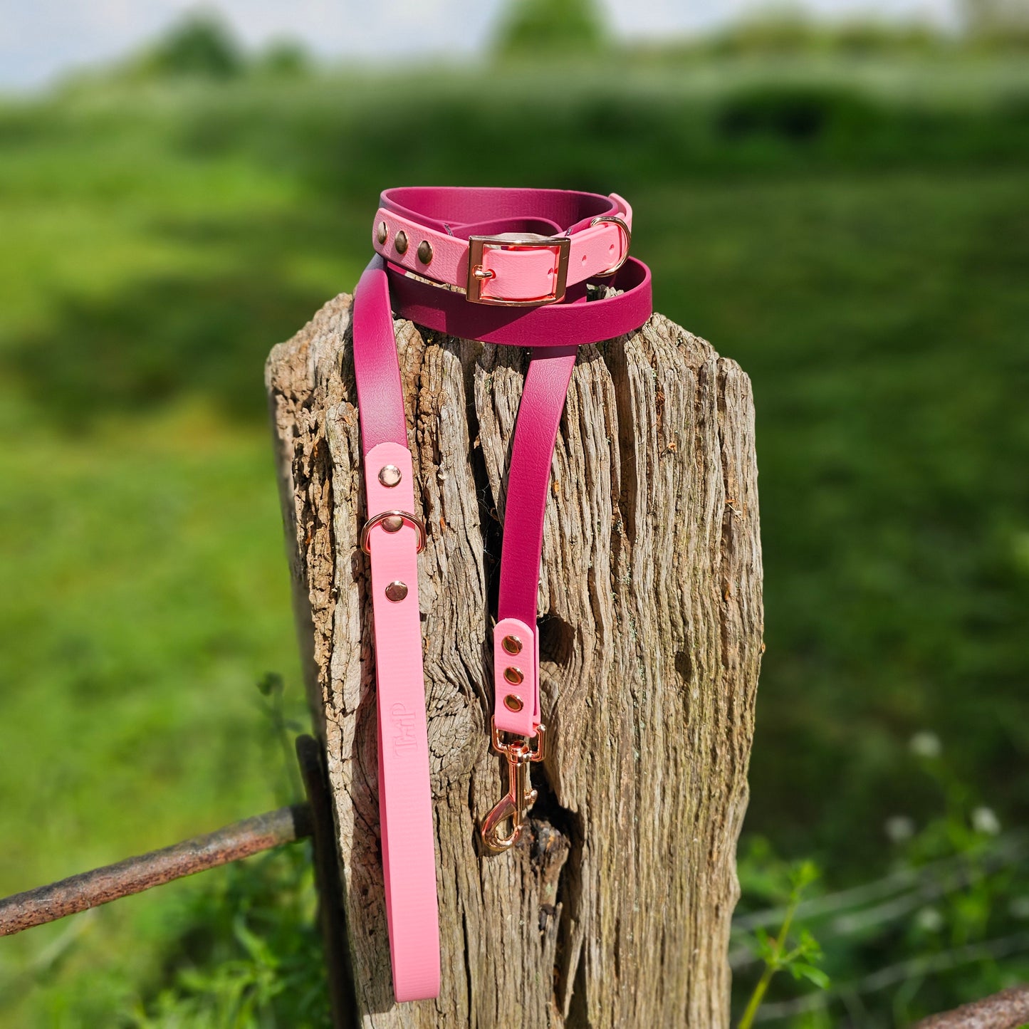 Burgundy & Baby Pink - Waterproof BioThane© Dog Lead