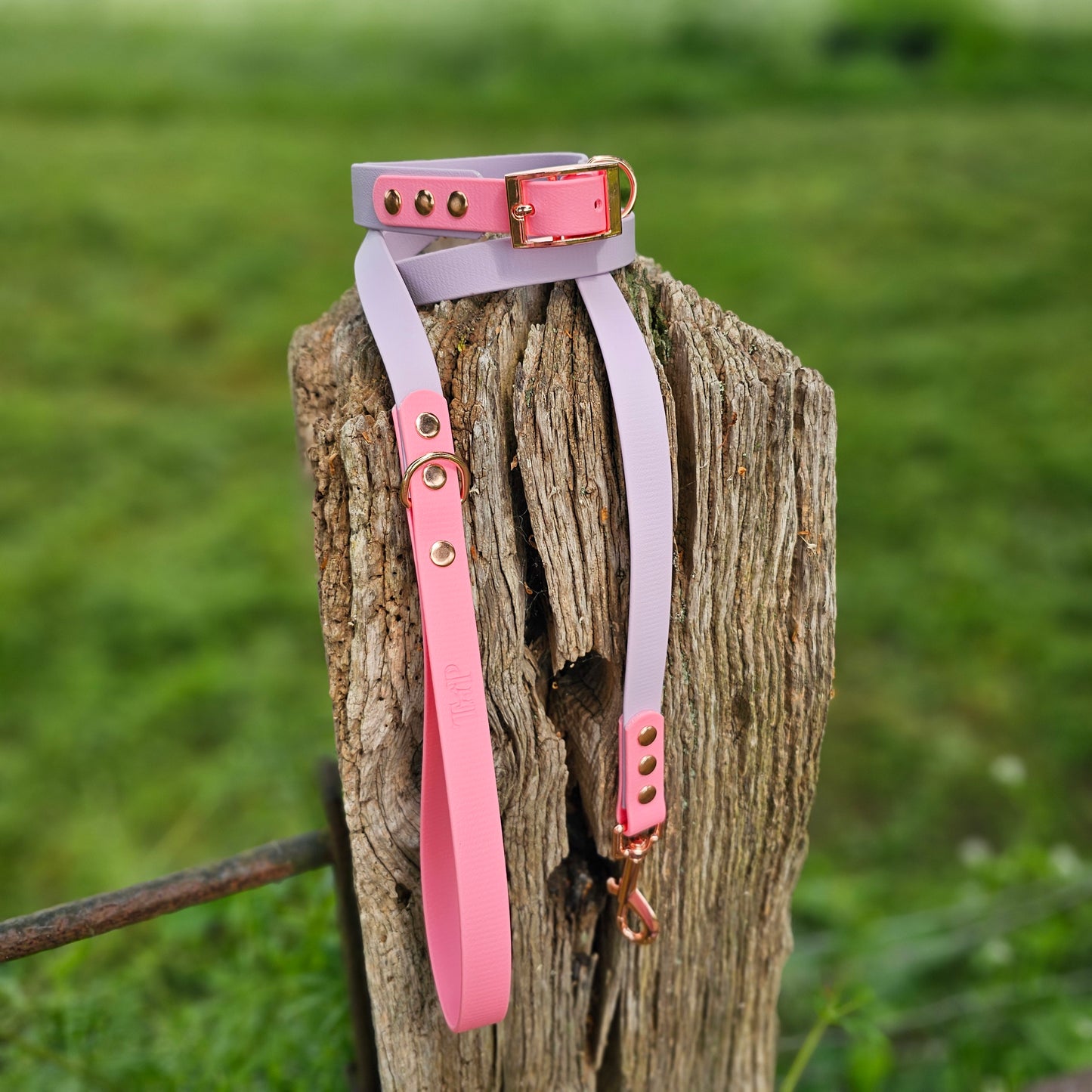 Lilac & Baby Pink - Waterproof BioThane© Dog Lead