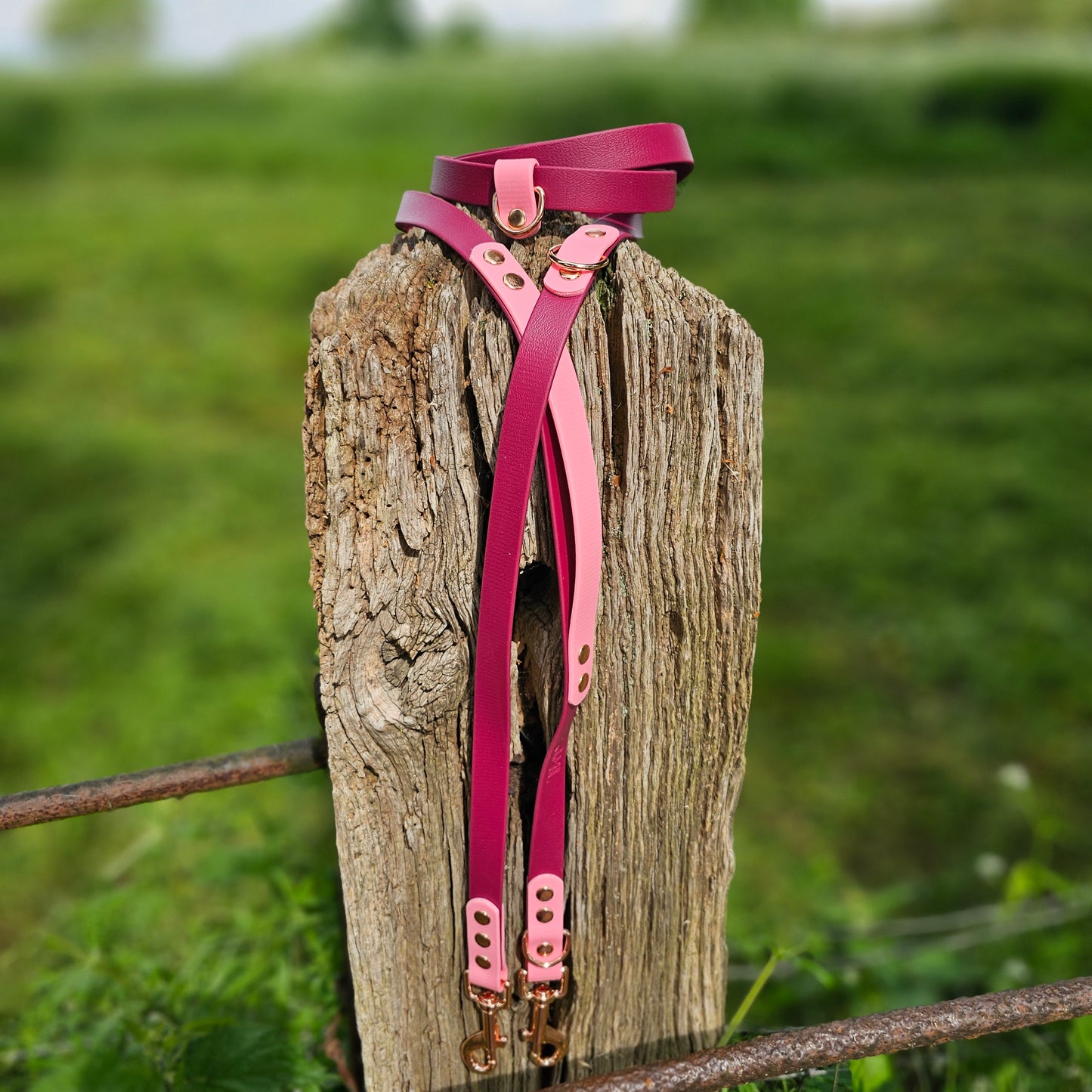 Burgundy & Baby Pink - Waterproof BioThane© handsfree Dog Training Lead