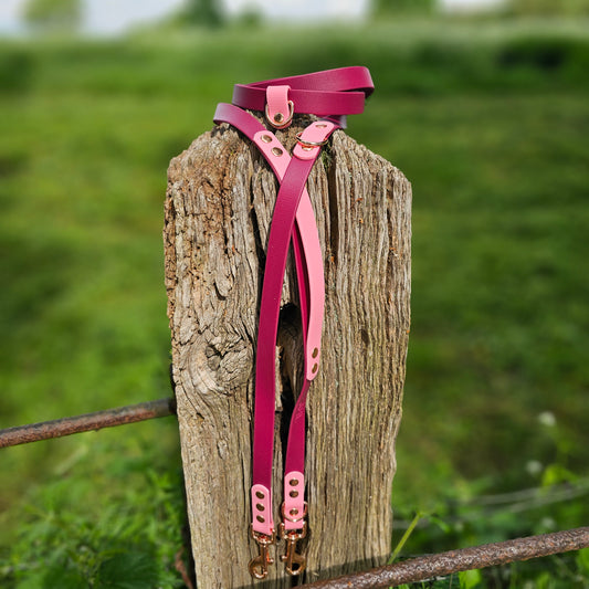 Burgundy & Baby Pink - Waterproof BioThane© handsfree Dog Training Lead