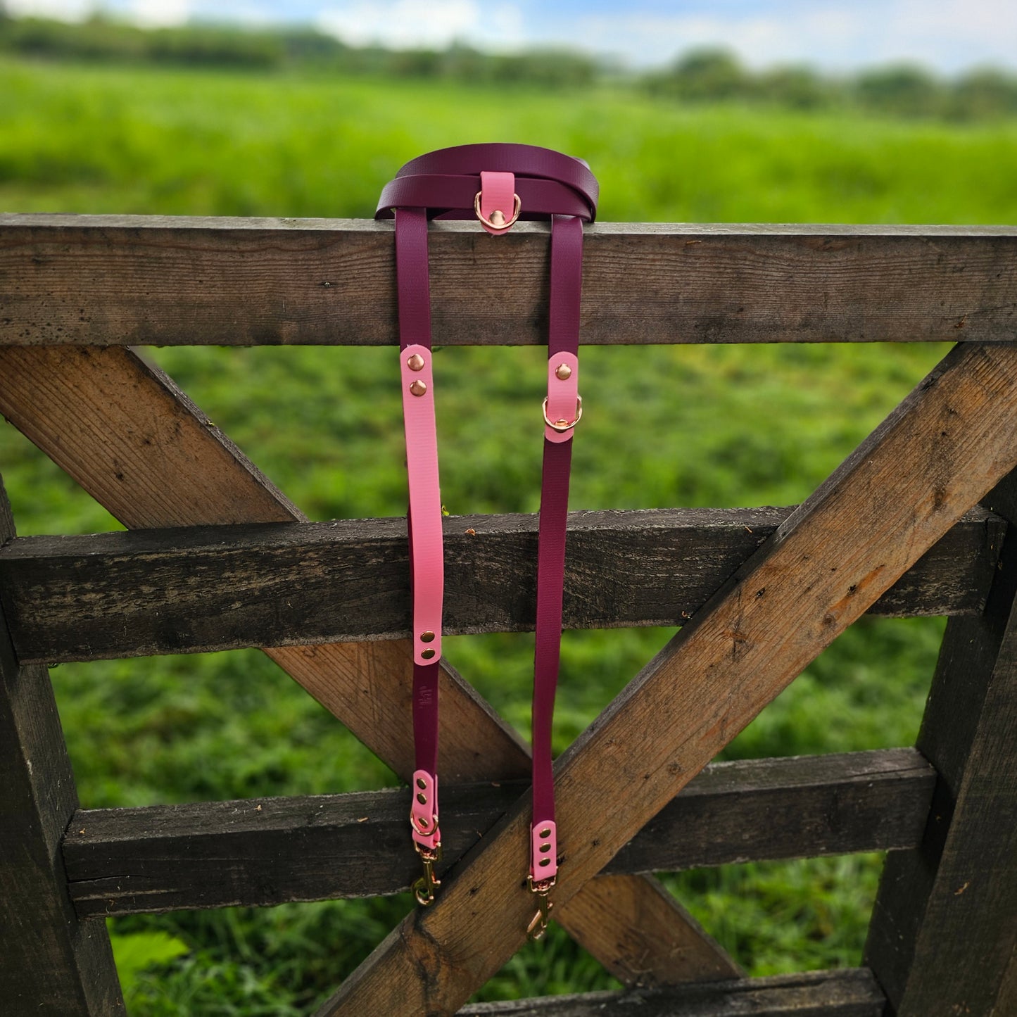 Burgundy & Baby Pink - Waterproof BioThane© handsfree Dog Training Lead