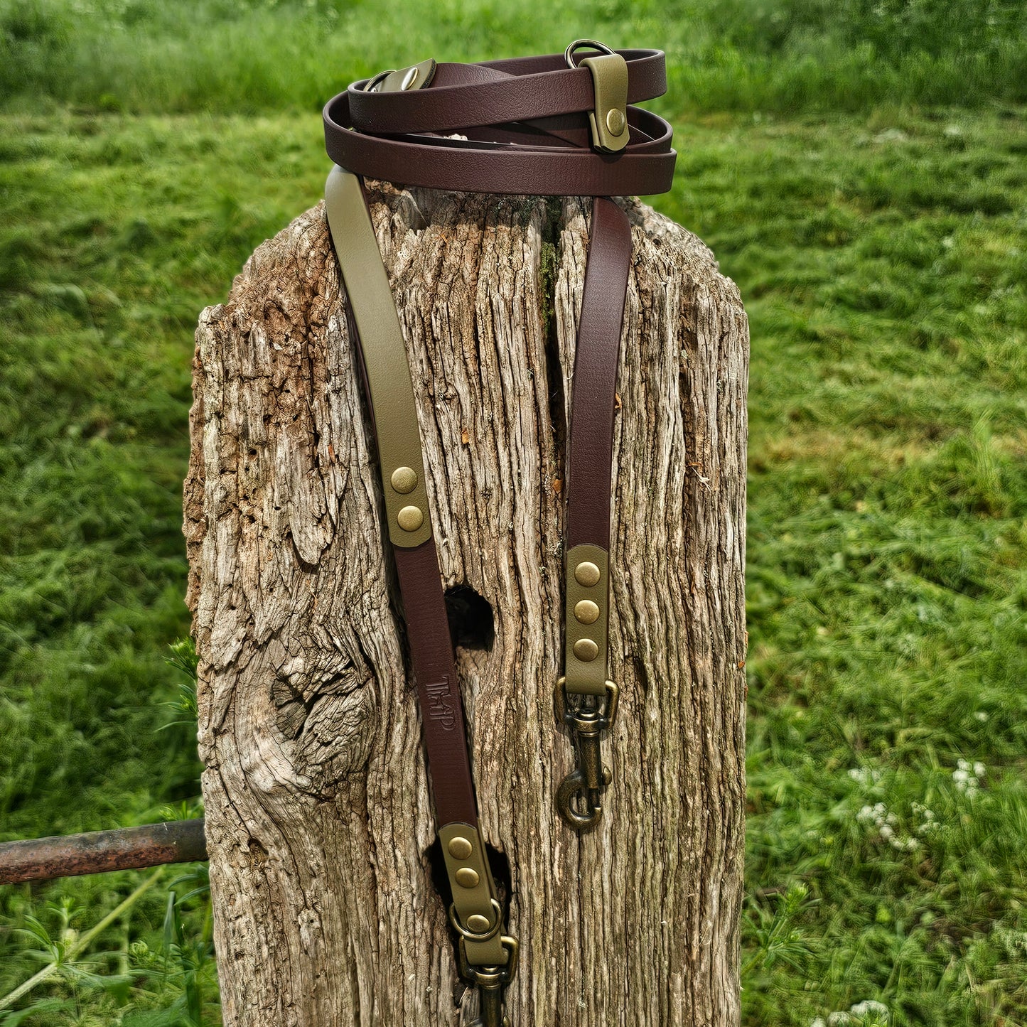 Dark Brown & Olive - Waterproof BioThane© handsfree Dog Training Lead