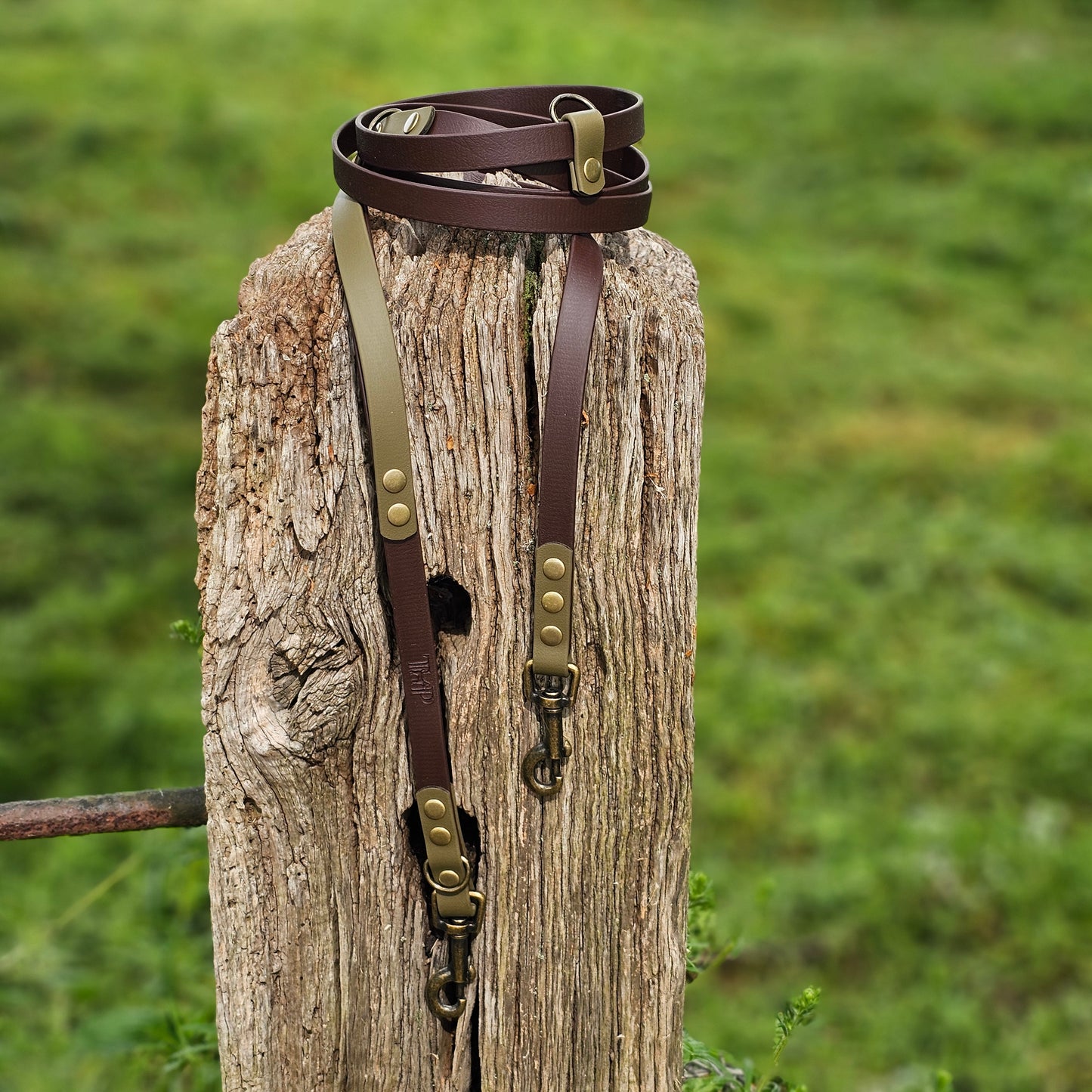 Dark Brown & Olive - Waterproof BioThane© handsfree Dog Training Lead