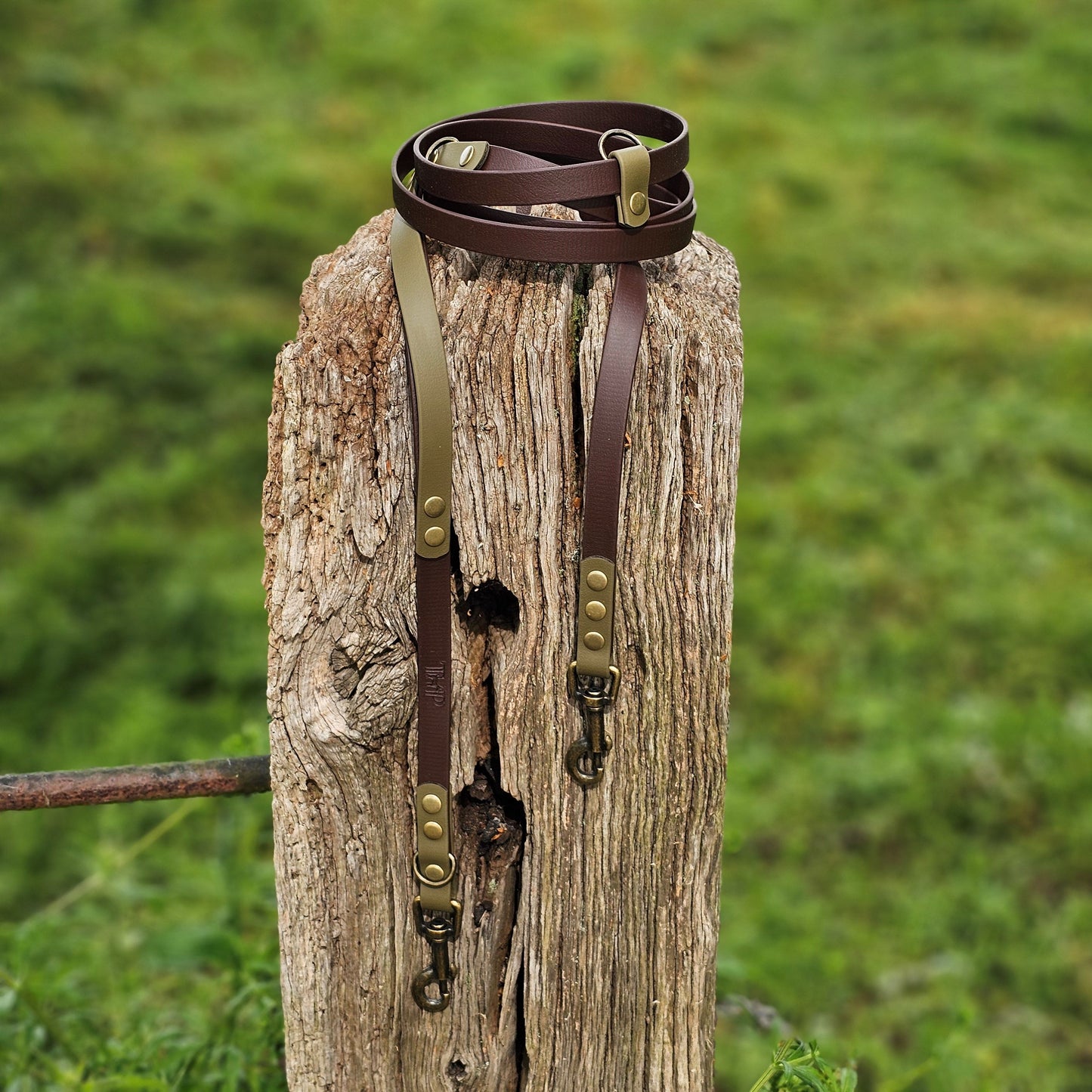 Dark Brown & Olive - Waterproof BioThane© handsfree Dog Training Lead