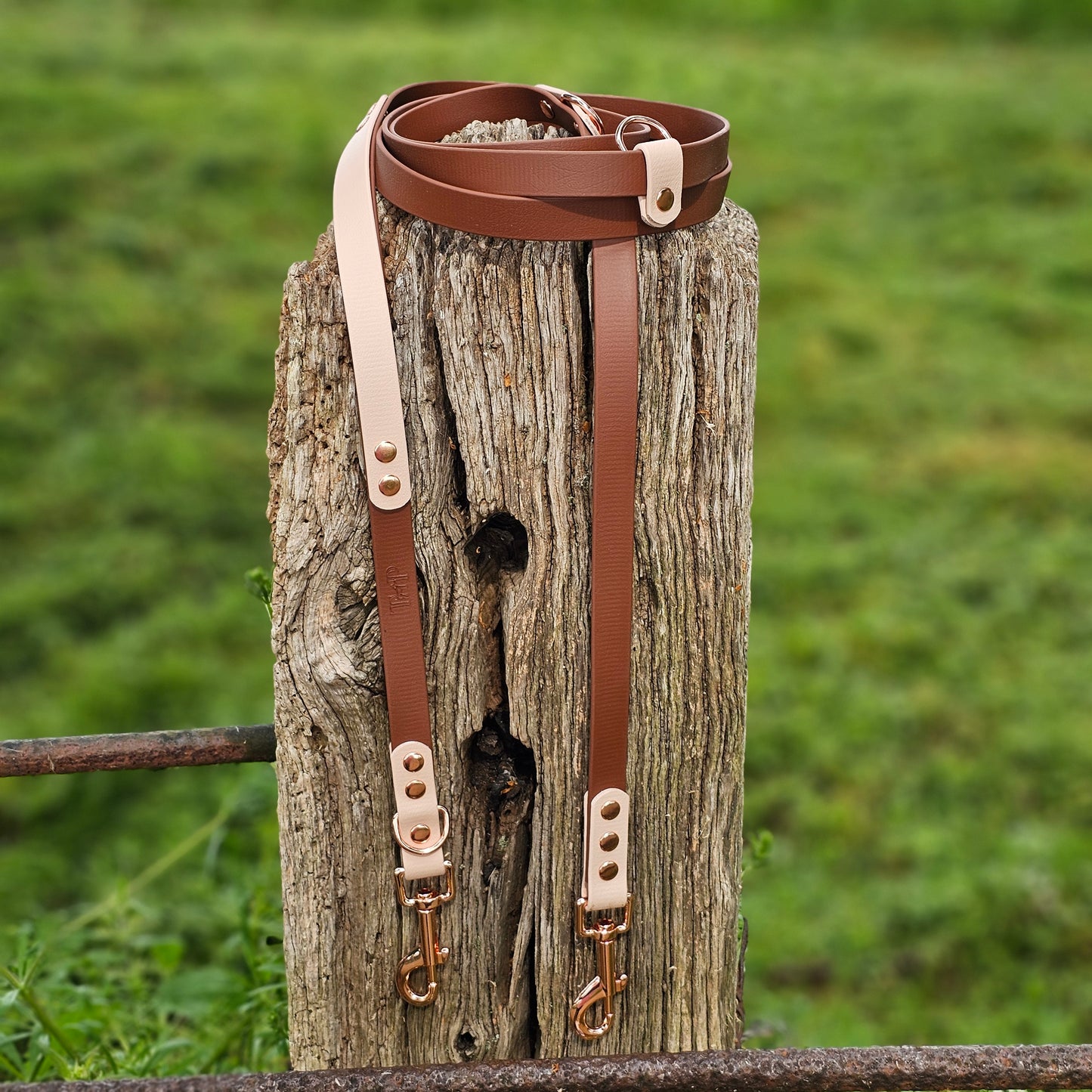Brown & Powder Pearl - Waterproof BioThane© handsfree Dog Training Lead