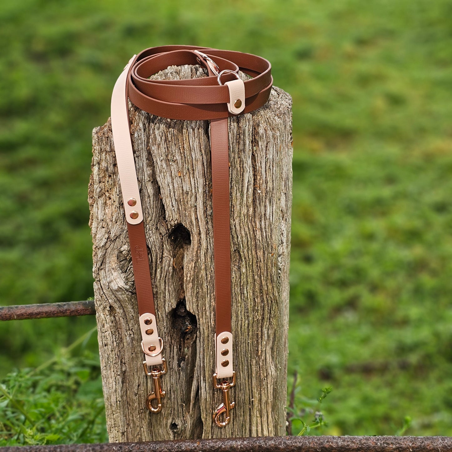 Brown & Powder Pearl - Waterproof BioThane© handsfree Dog Training Lead