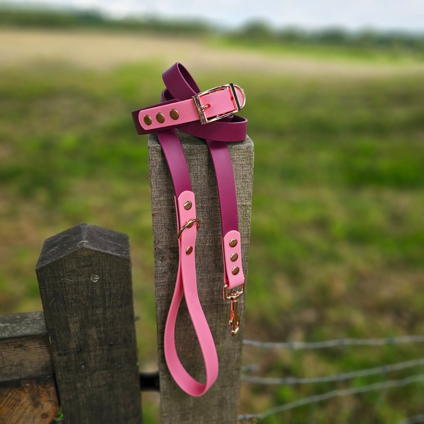 Burgundy & Baby Pink - Waterproof BioThane© Dog Lead
