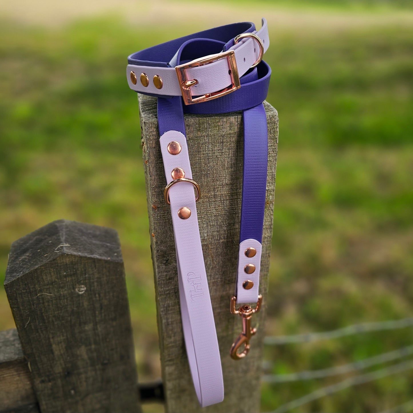 Purple & Lilac - Waterproof BioThane© two-coloured Dog Collar