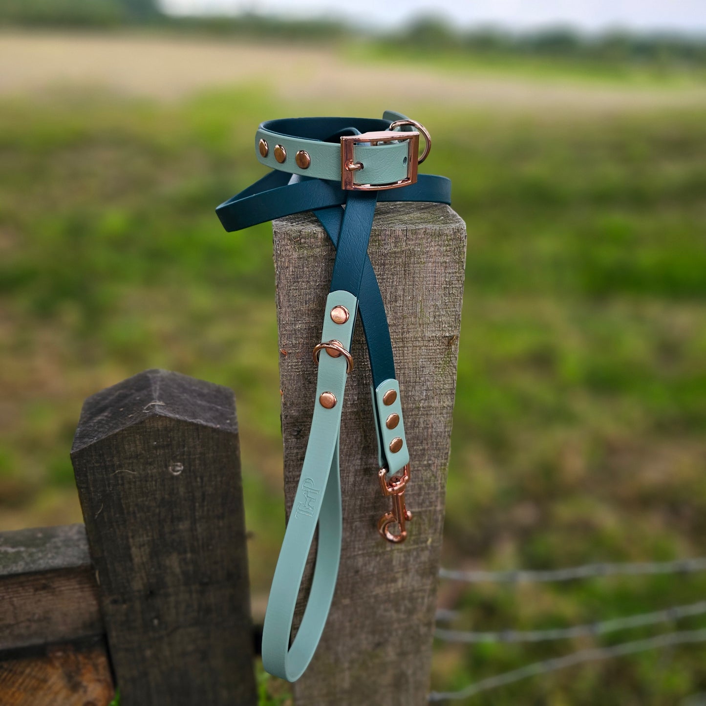 Dark Green & Sage - Waterproof BioThane© two-coloured Dog Collar