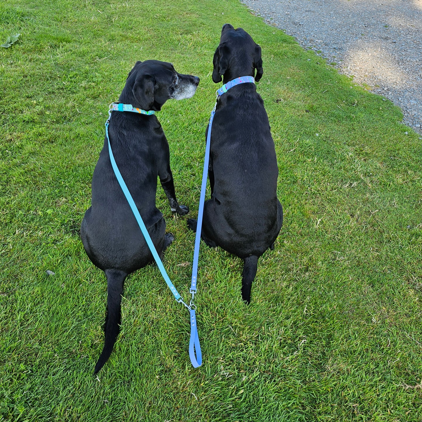 Waterproof BioThane® Dog Lead Splitter / Coupler / Extender - Design Your Own