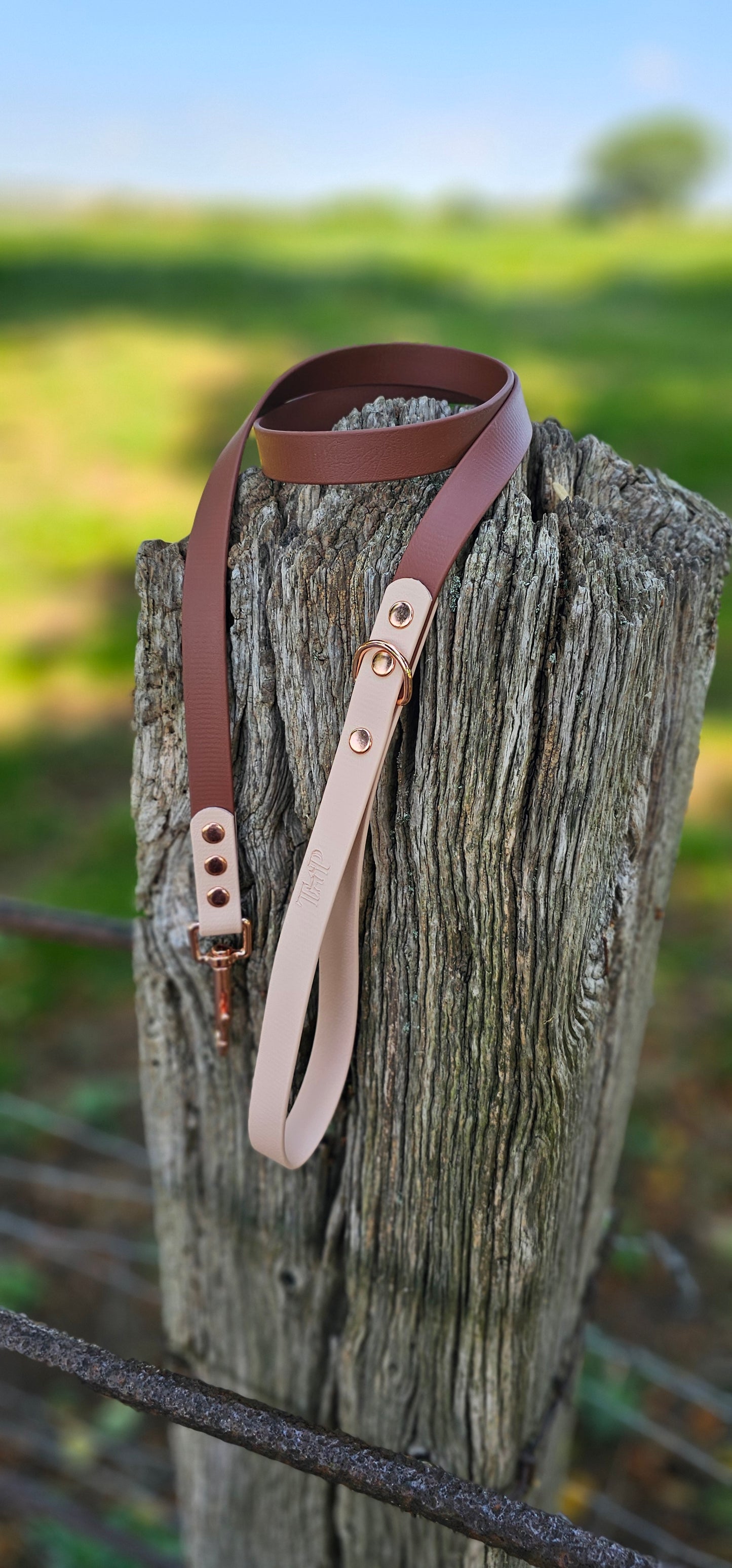 Brown & Powder Pearl - Waterproof BioThane© Dog Lead