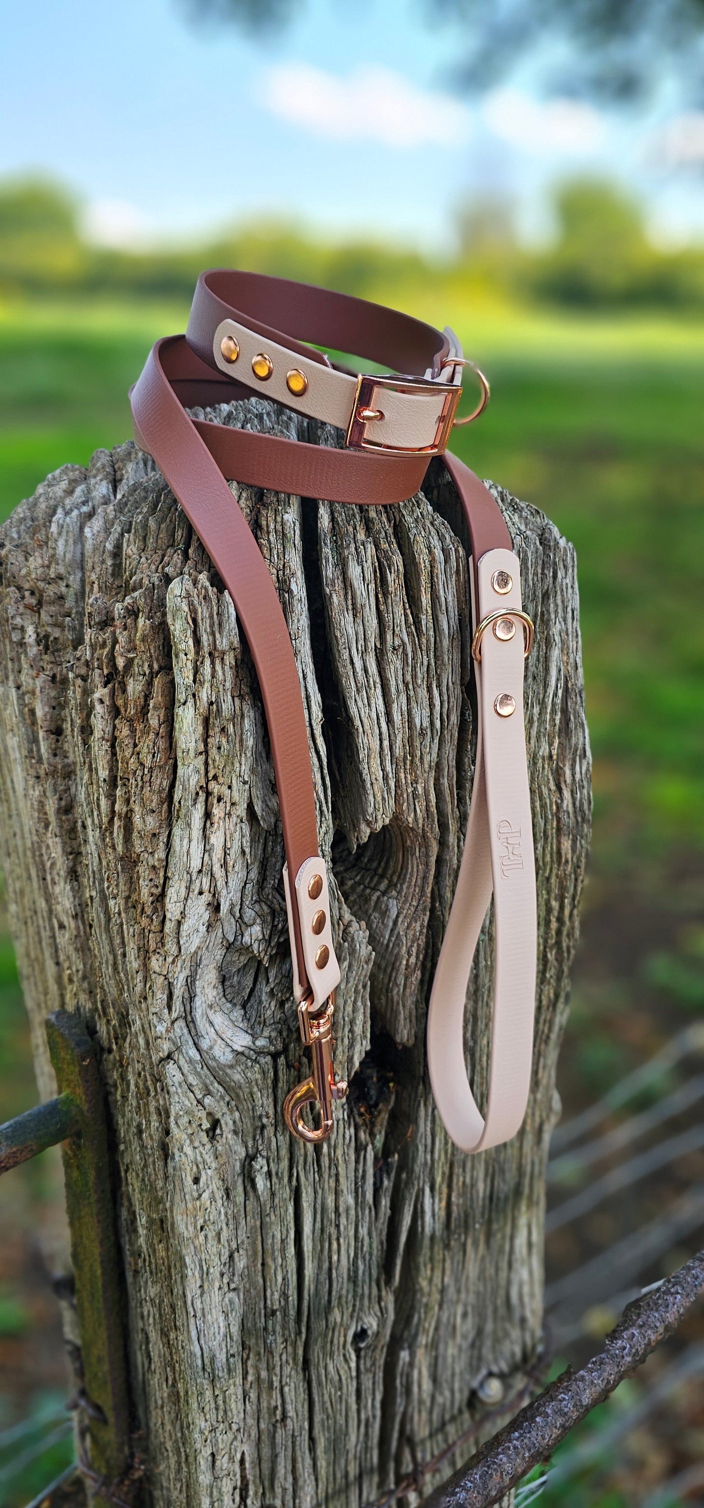 Brown & Powder Pearl - Waterproof BioThane© Dog Lead
