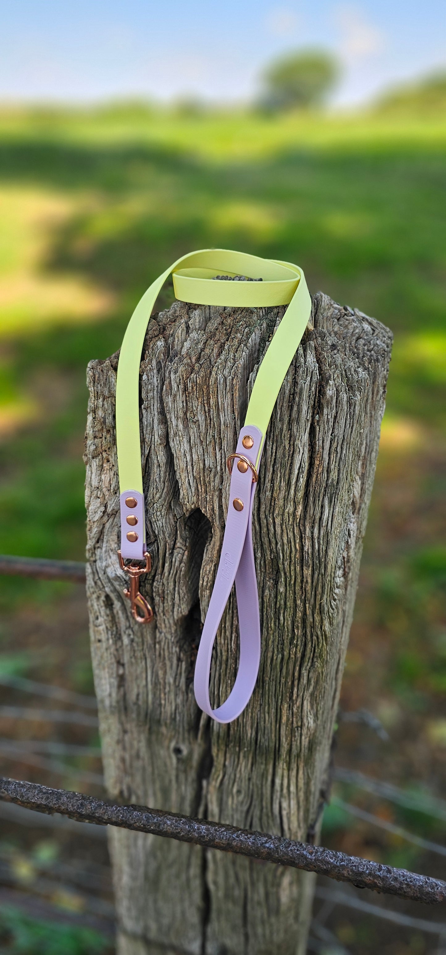 Lemon & Lilac - Waterproof BioThane© Dog Lead