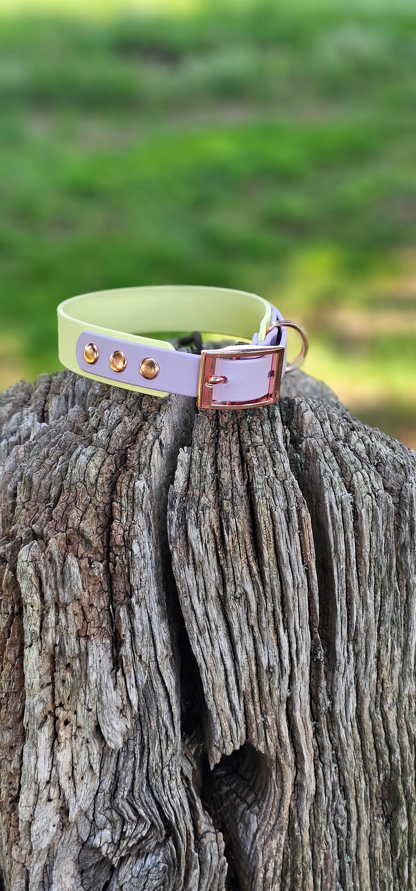 Lemon & Lilac - Waterproof BioThane© two-coloured Dog Collar