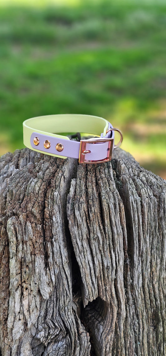 Lemon & Lilac - Waterproof BioThane© two-coloured Dog Collar