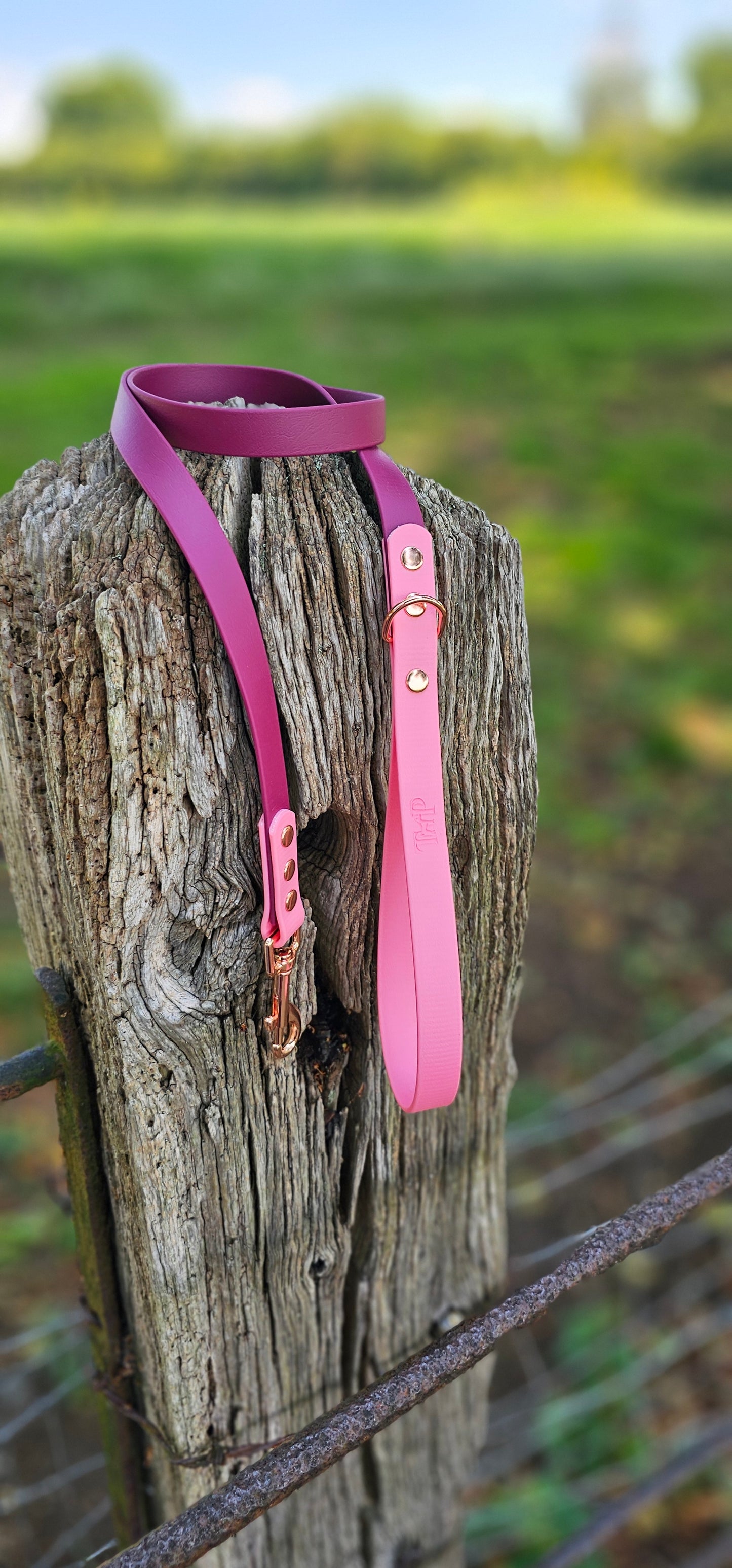 Burgundy & Baby Pink - Waterproof BioThane© Dog Lead
