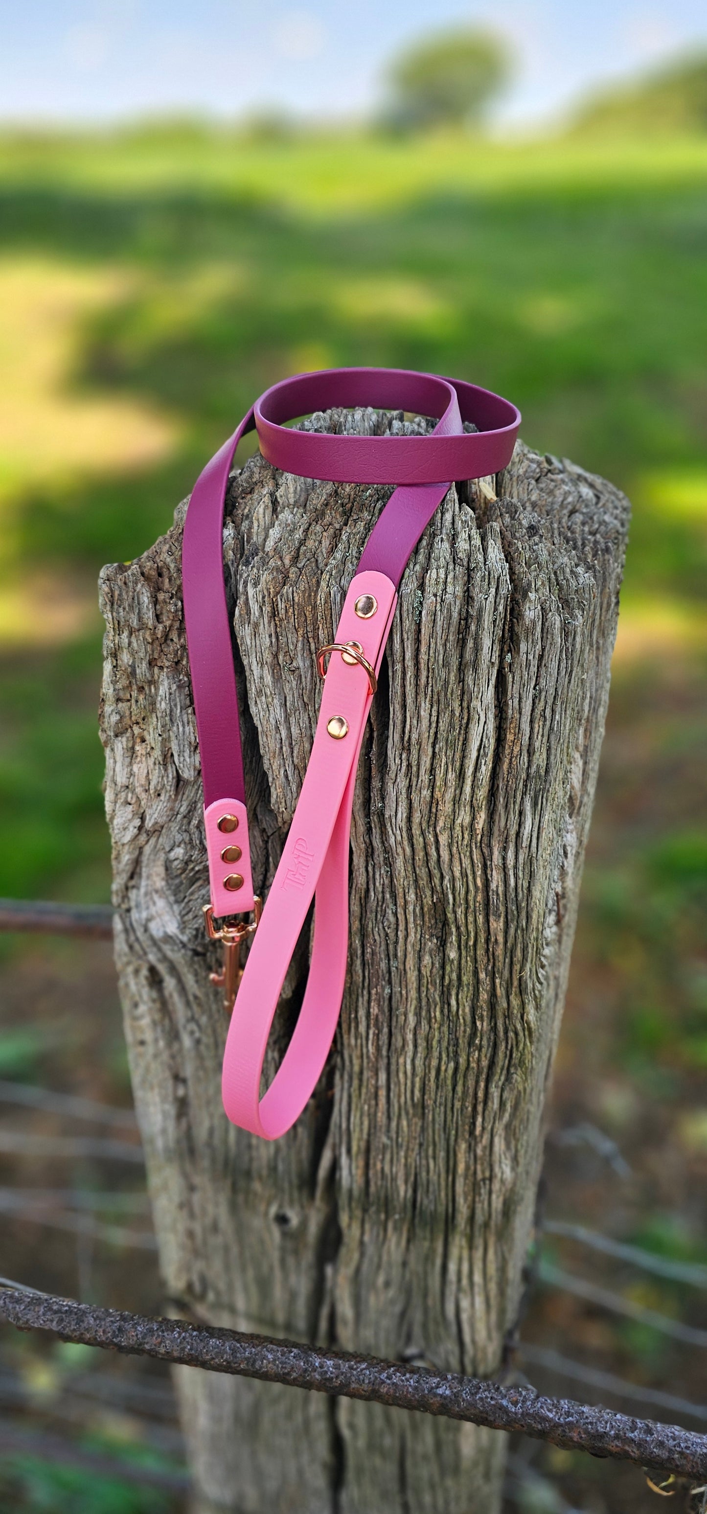 Burgundy & Baby Pink - Waterproof BioThane© Dog Lead