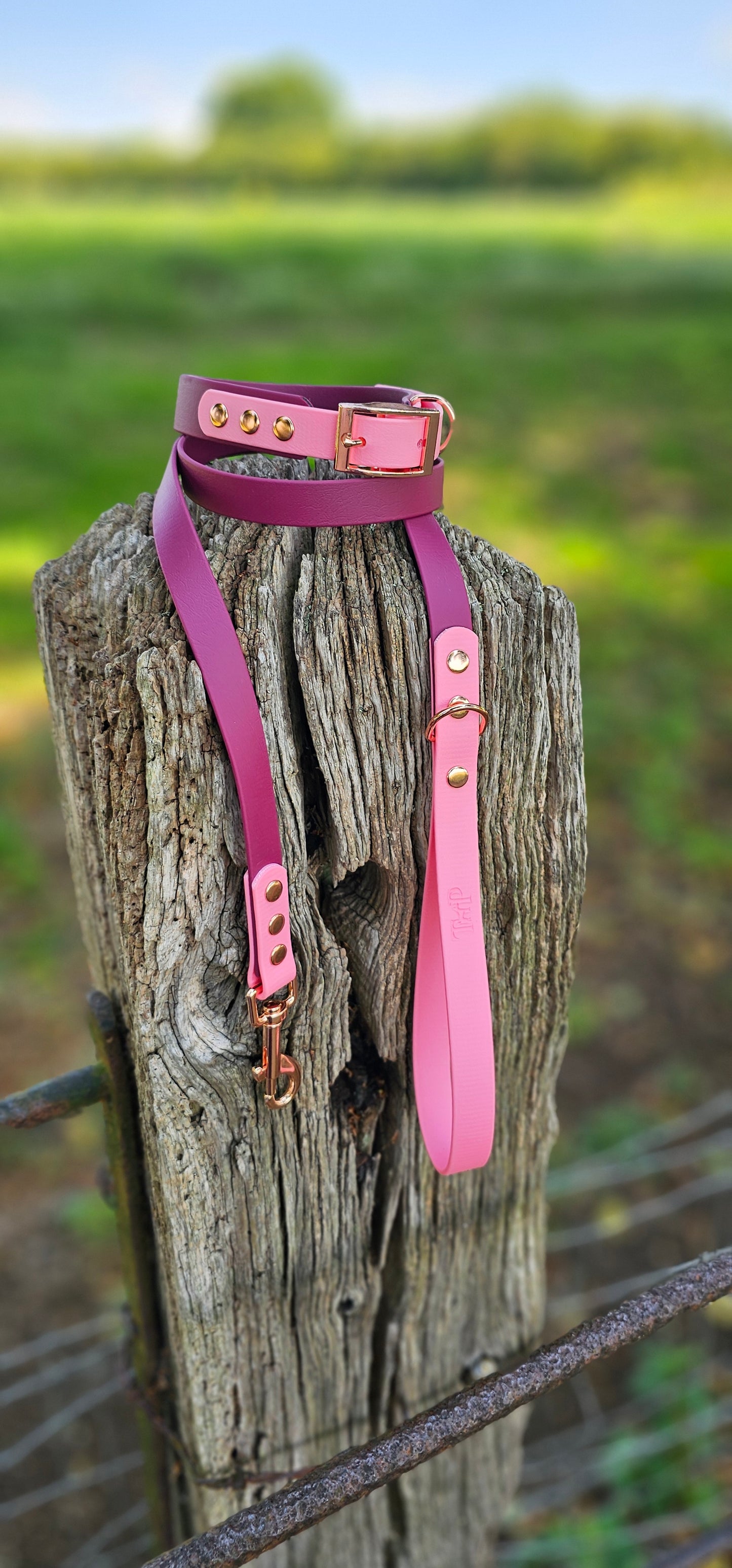 Burgundy & Baby Pink - Waterproof BioThane© Dog Lead