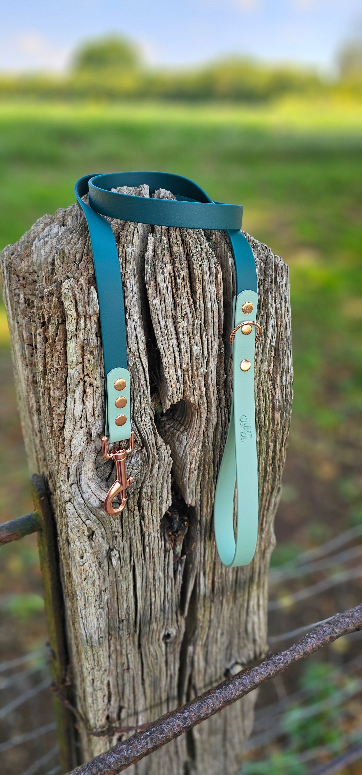 Dark Green & Sage - Waterproof BioThane© Dog Lead