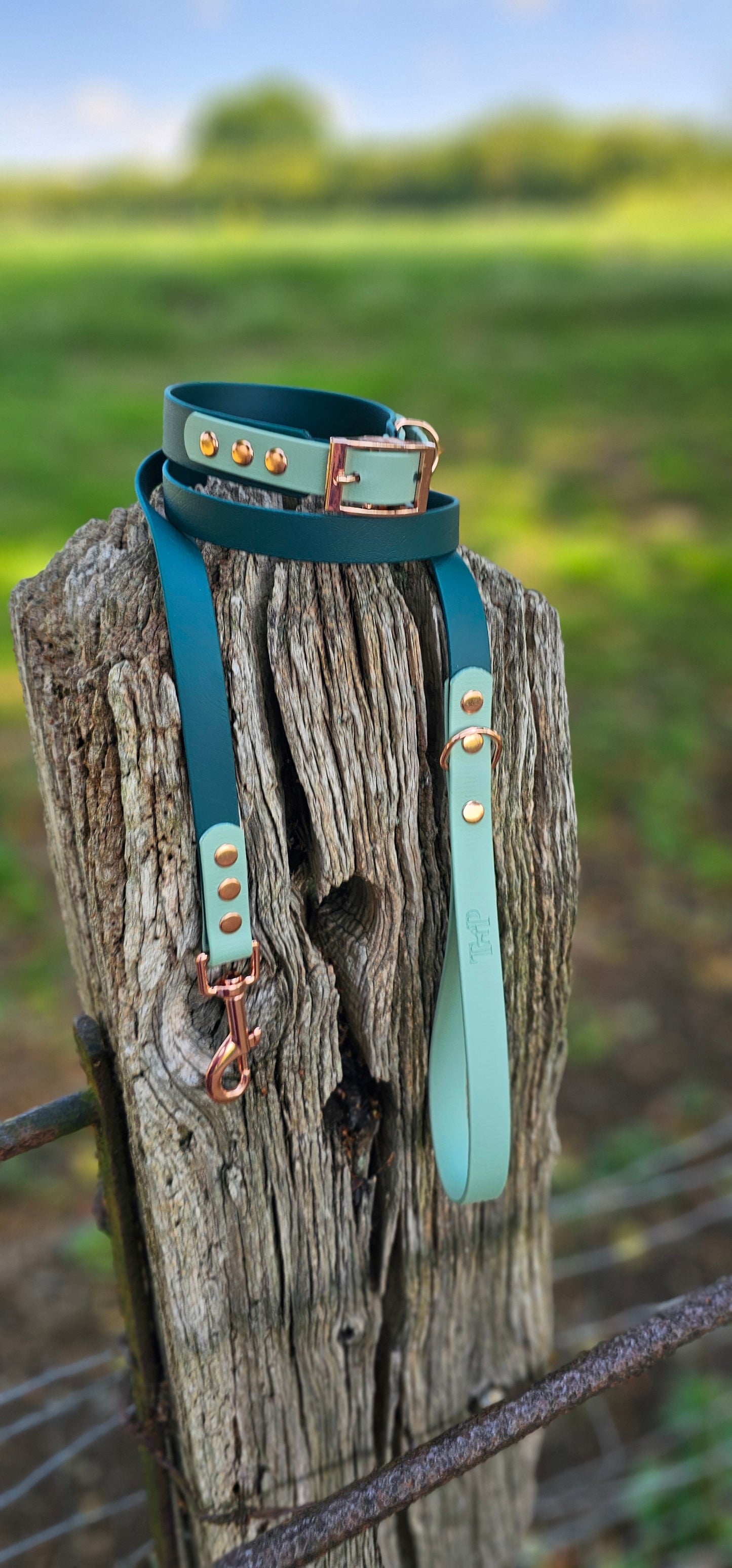 Dark Green & Sage - Waterproof BioThane© two-coloured Dog Collar