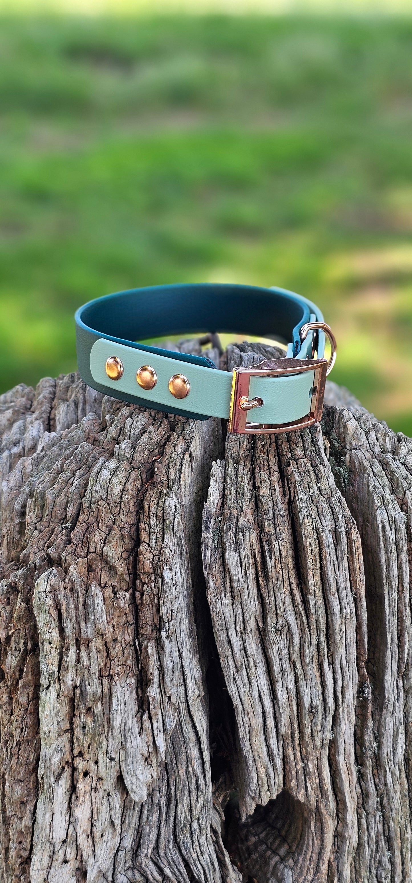 Dark Green & Sage - Waterproof BioThane© two-coloured Dog Collar