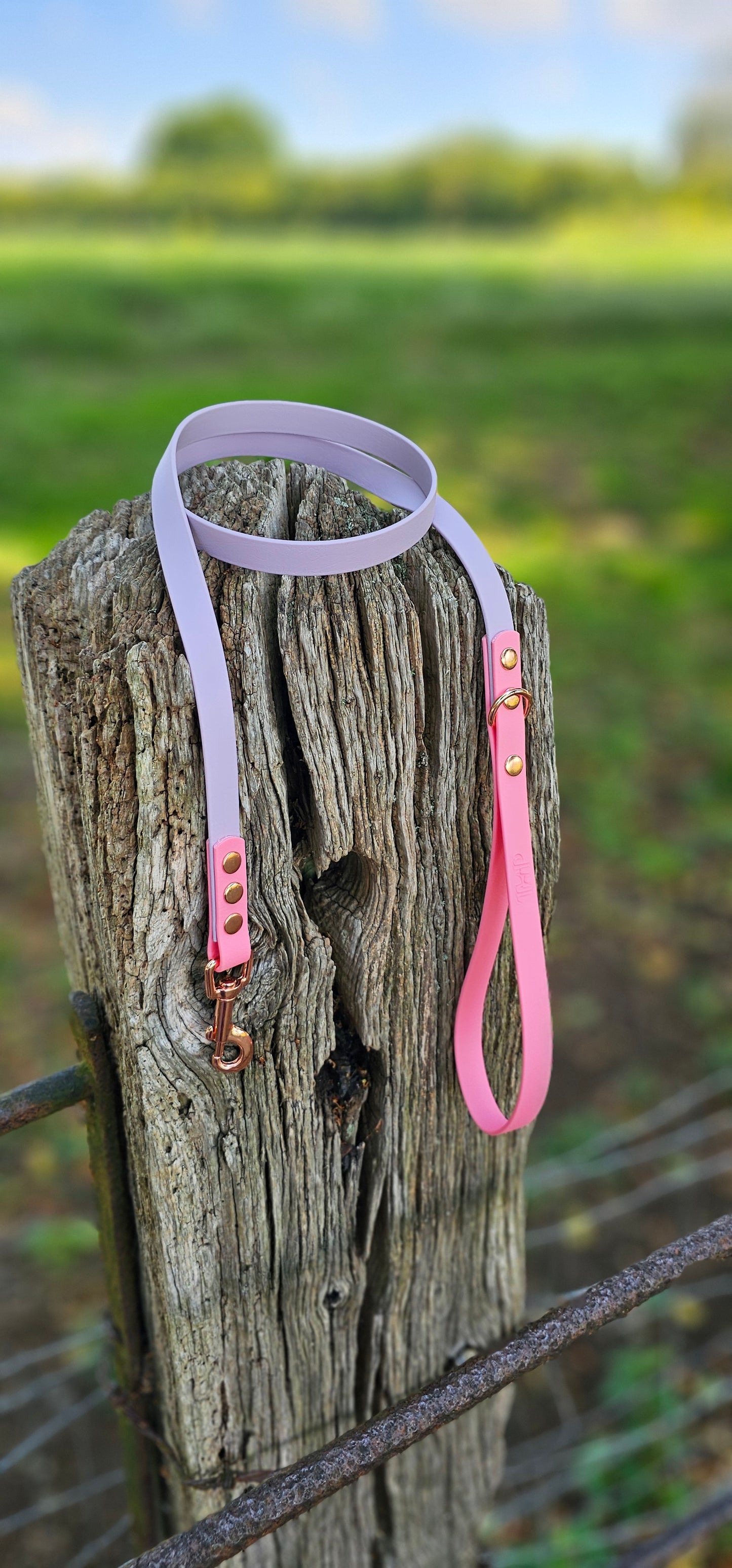 Lilac & Baby Pink - Waterproof BioThane© Dog Lead