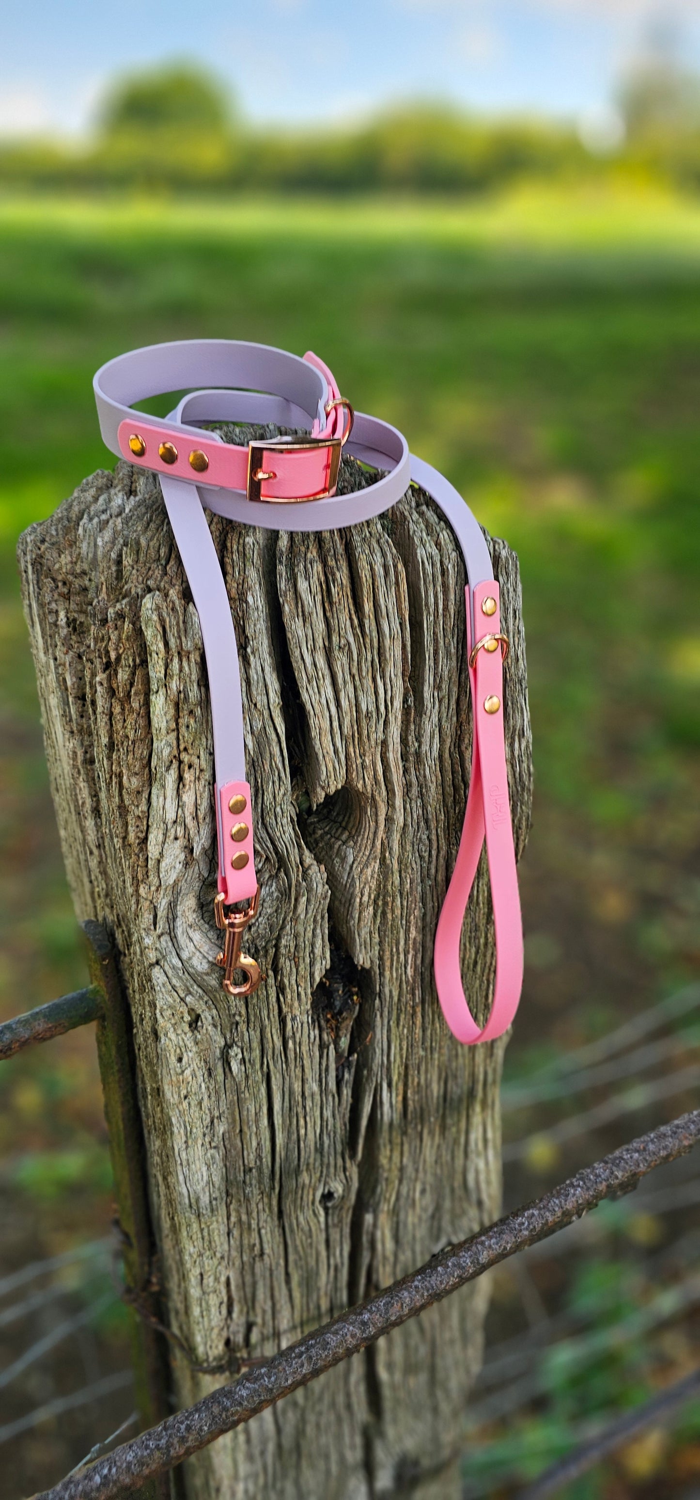 Lilac & Baby Pink - Waterproof BioThane© two-coloured Dog Collar