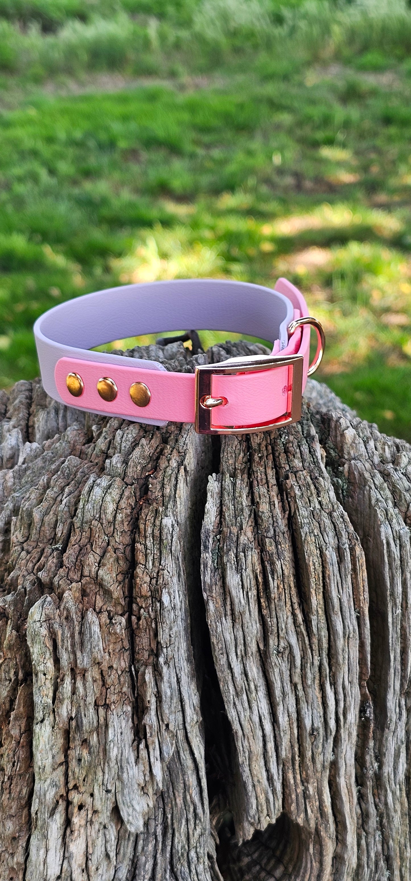 Lilac & Baby Pink - Waterproof BioThane© two-coloured Dog Collar