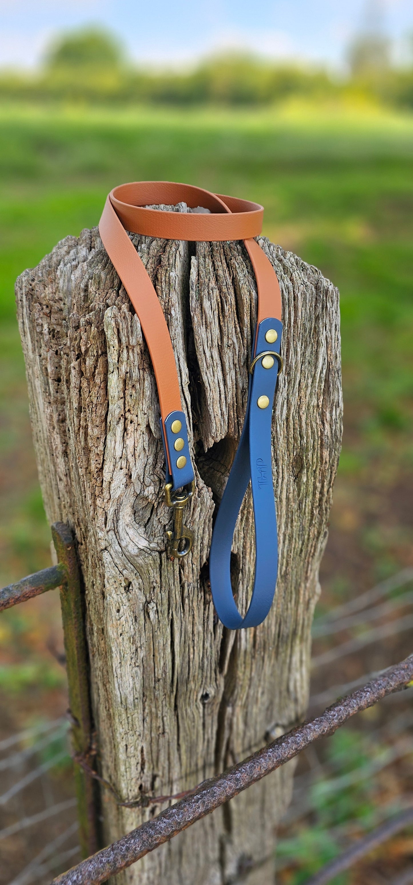 Tan & Navy - Waterproof BioThane© Dog Lead
