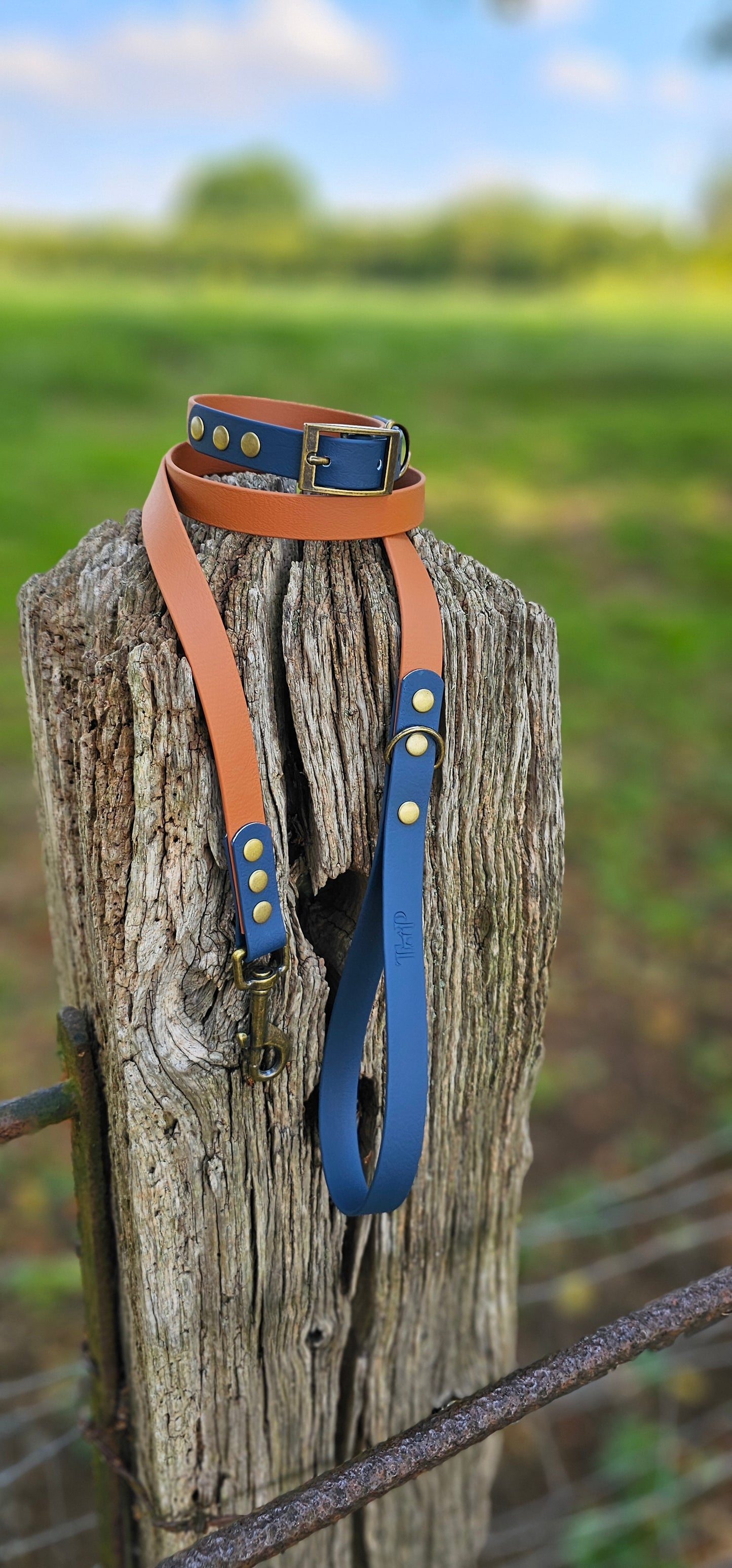 Tan & Navy - Waterproof BioThane© two-coloured Dog Collar