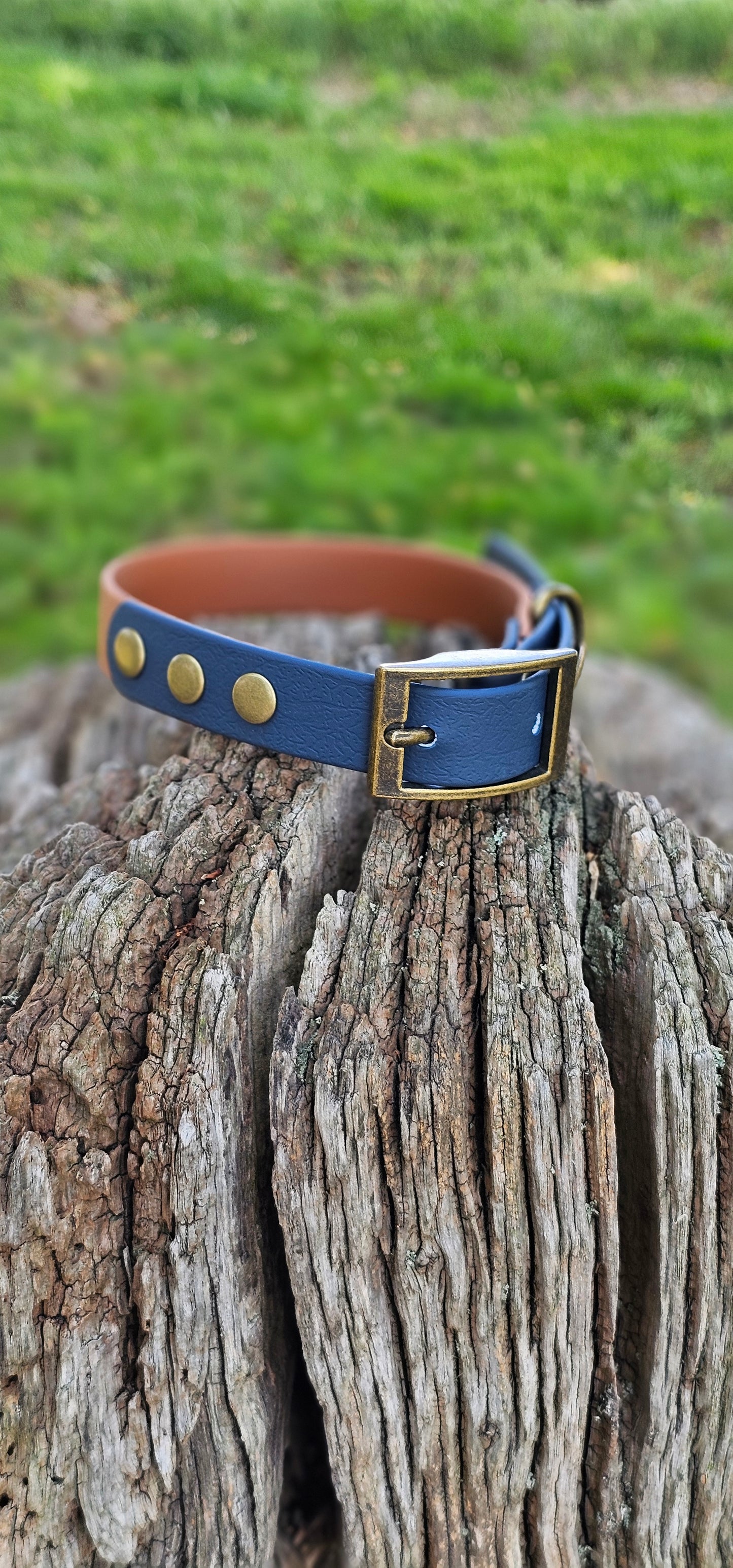 Tan & Navy - Waterproof BioThane© two-coloured Dog Collar