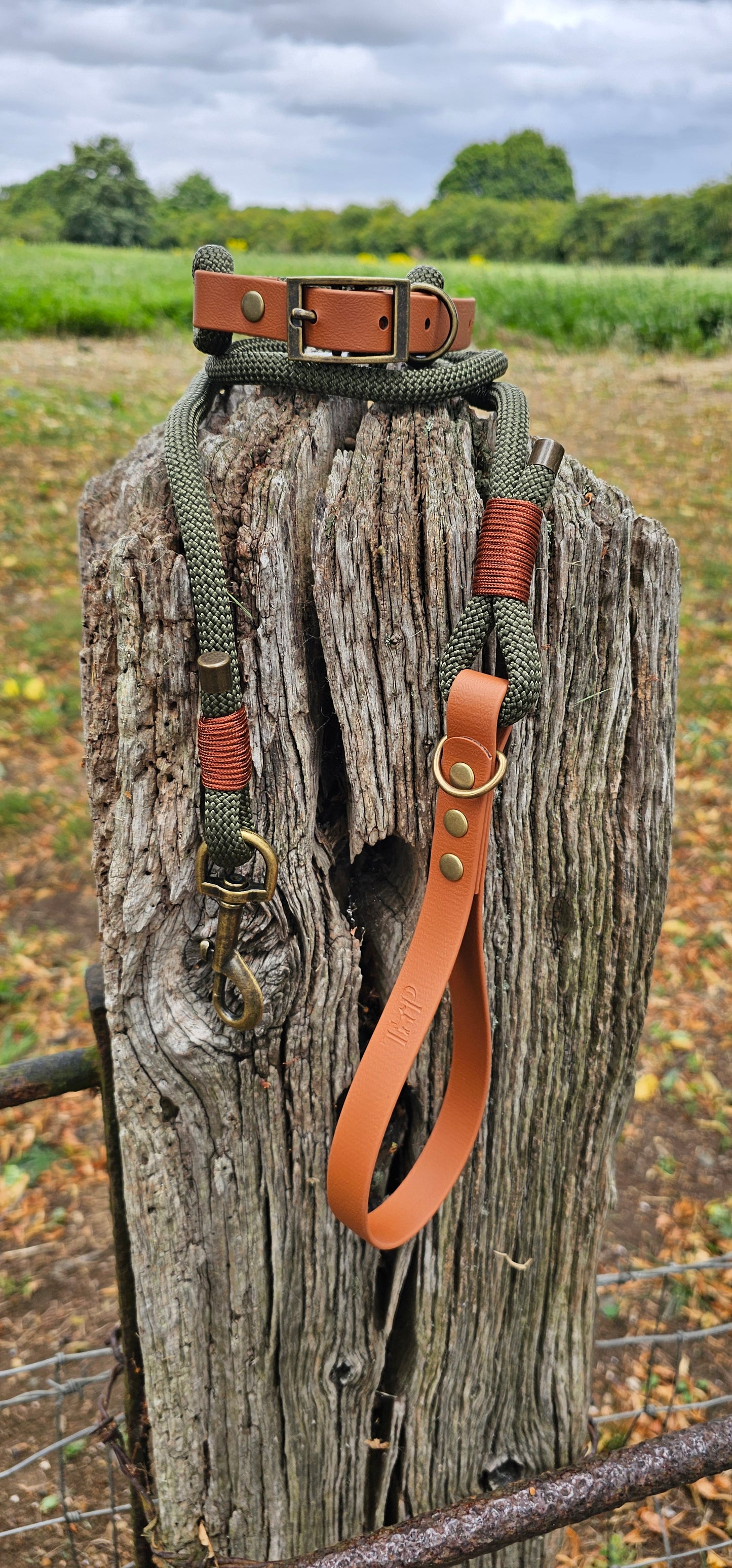 Army Green & Tan - Classic Rope Dog Collar