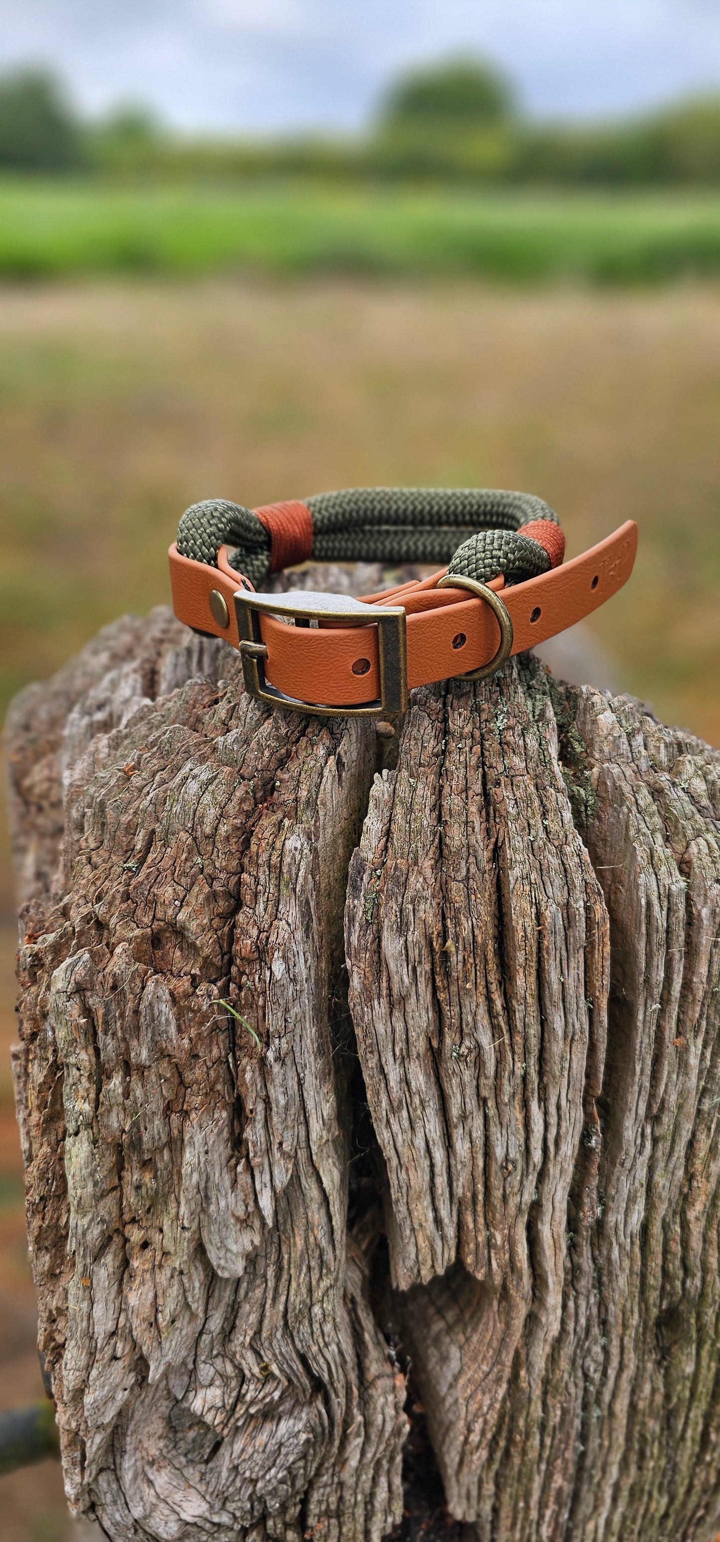 Army Green & Tan - Classic Rope Dog Collar
