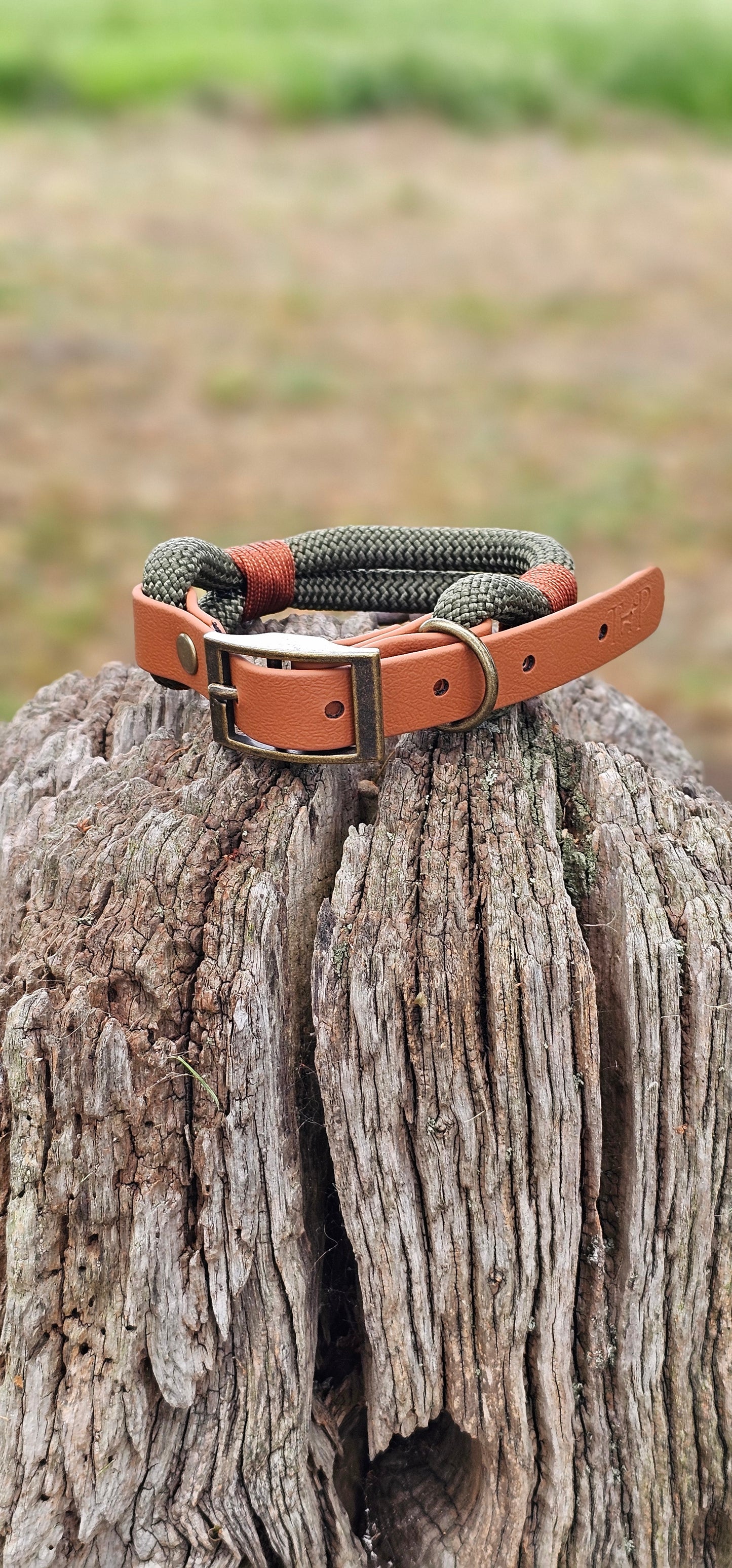 Army Green & Tan - Classic Rope Dog Collar