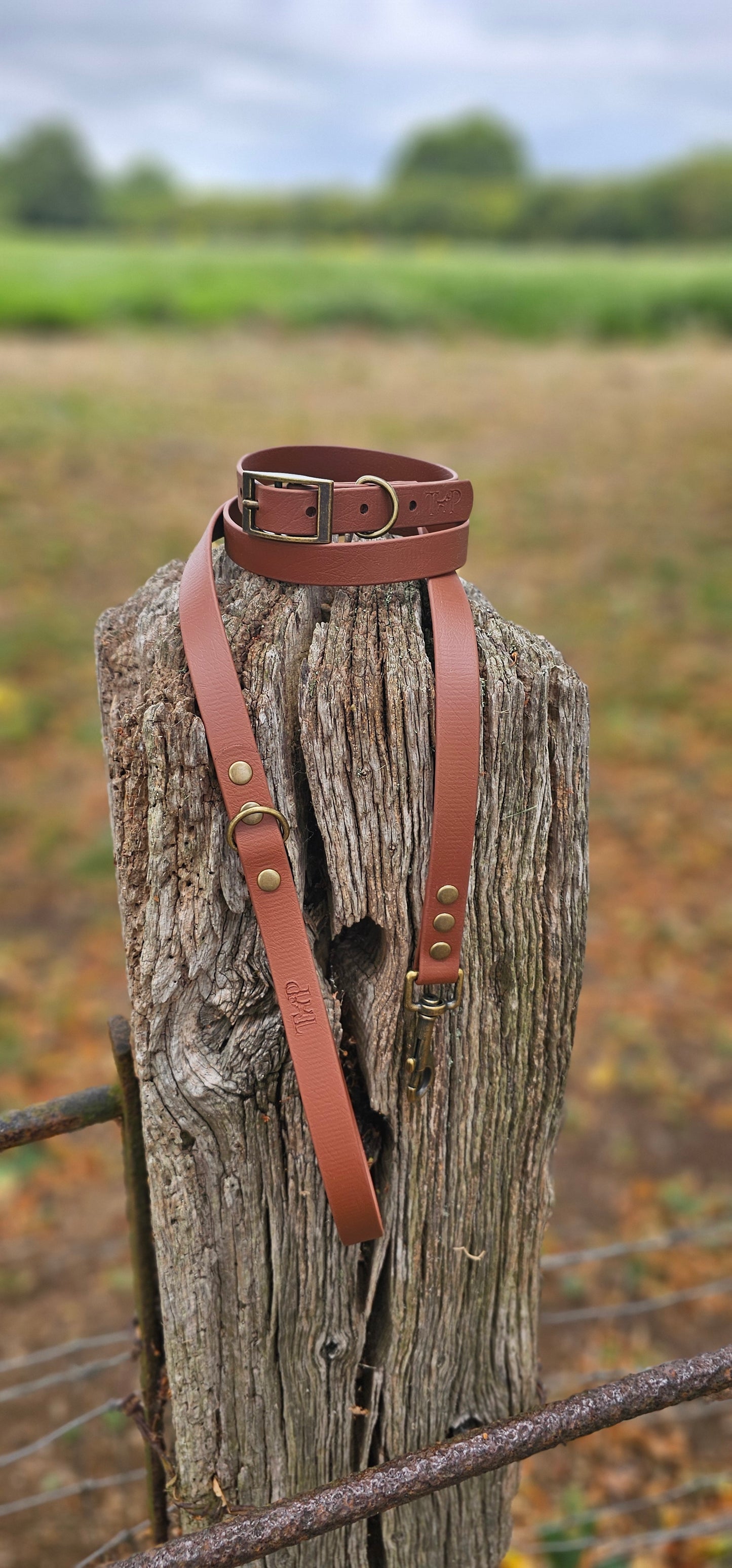 Brown - Waterproof BioThane© Dog Lead