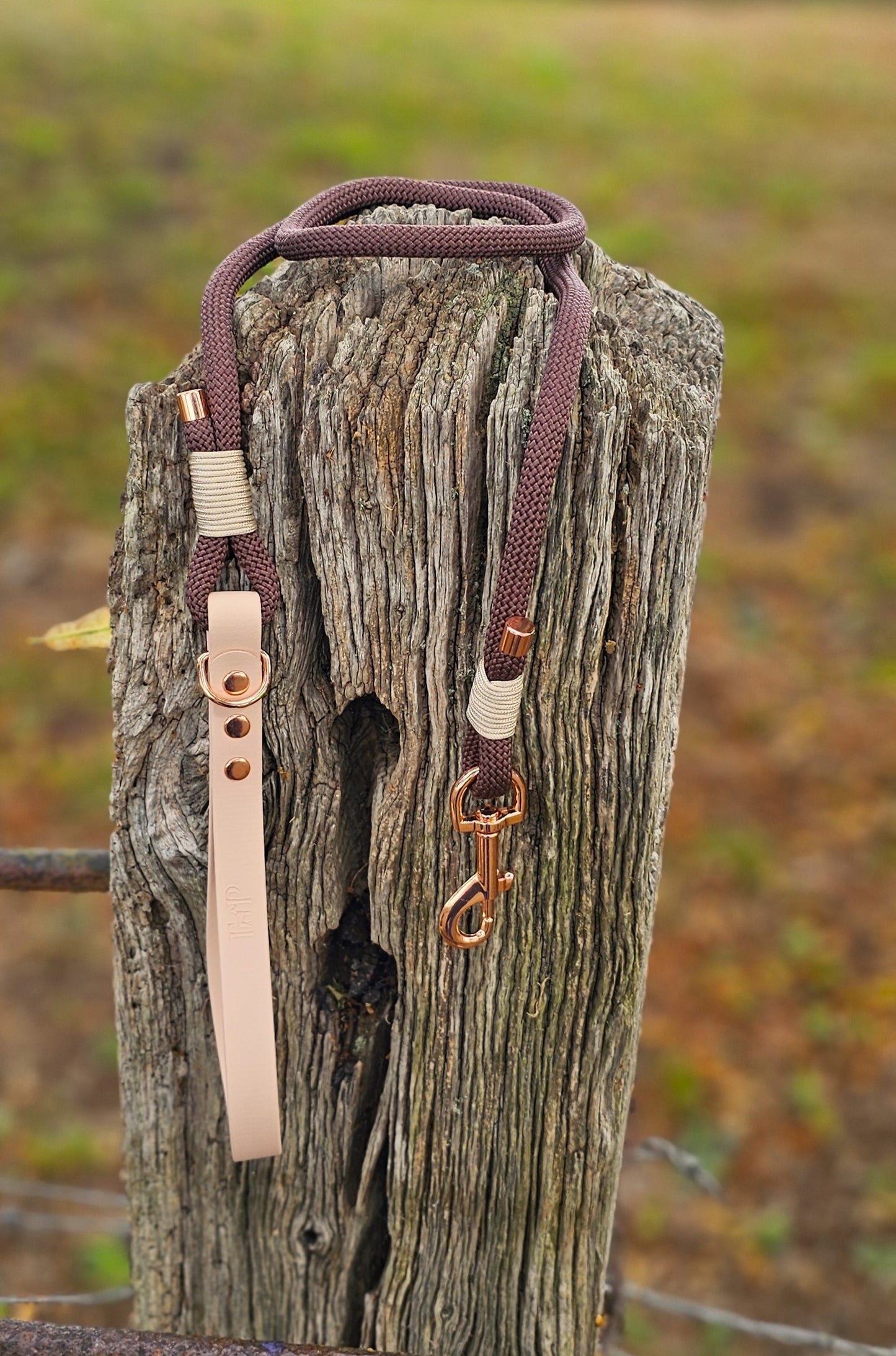 Dark Brown & Powder Pearl - Classic Rope Dog Lead