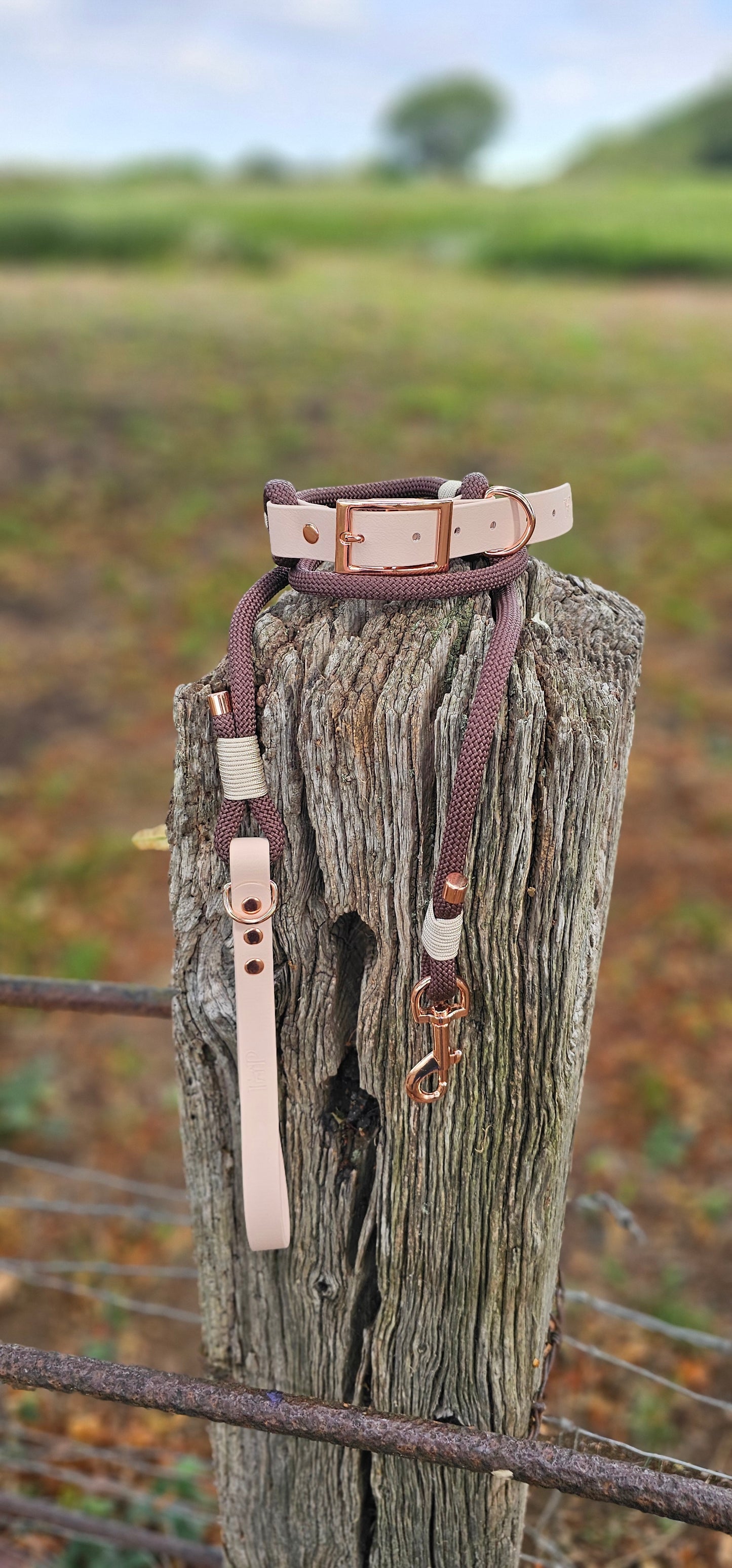 Dark Brown & Powder Pearl - Classic Rope Dog Collar